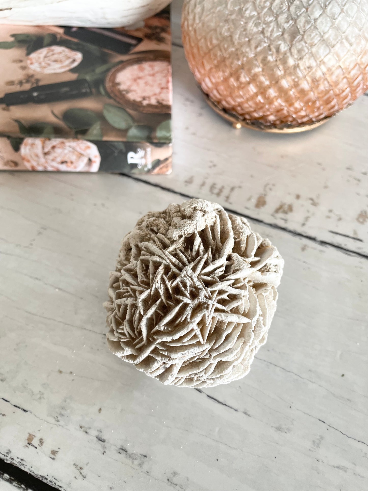 Desert Rose