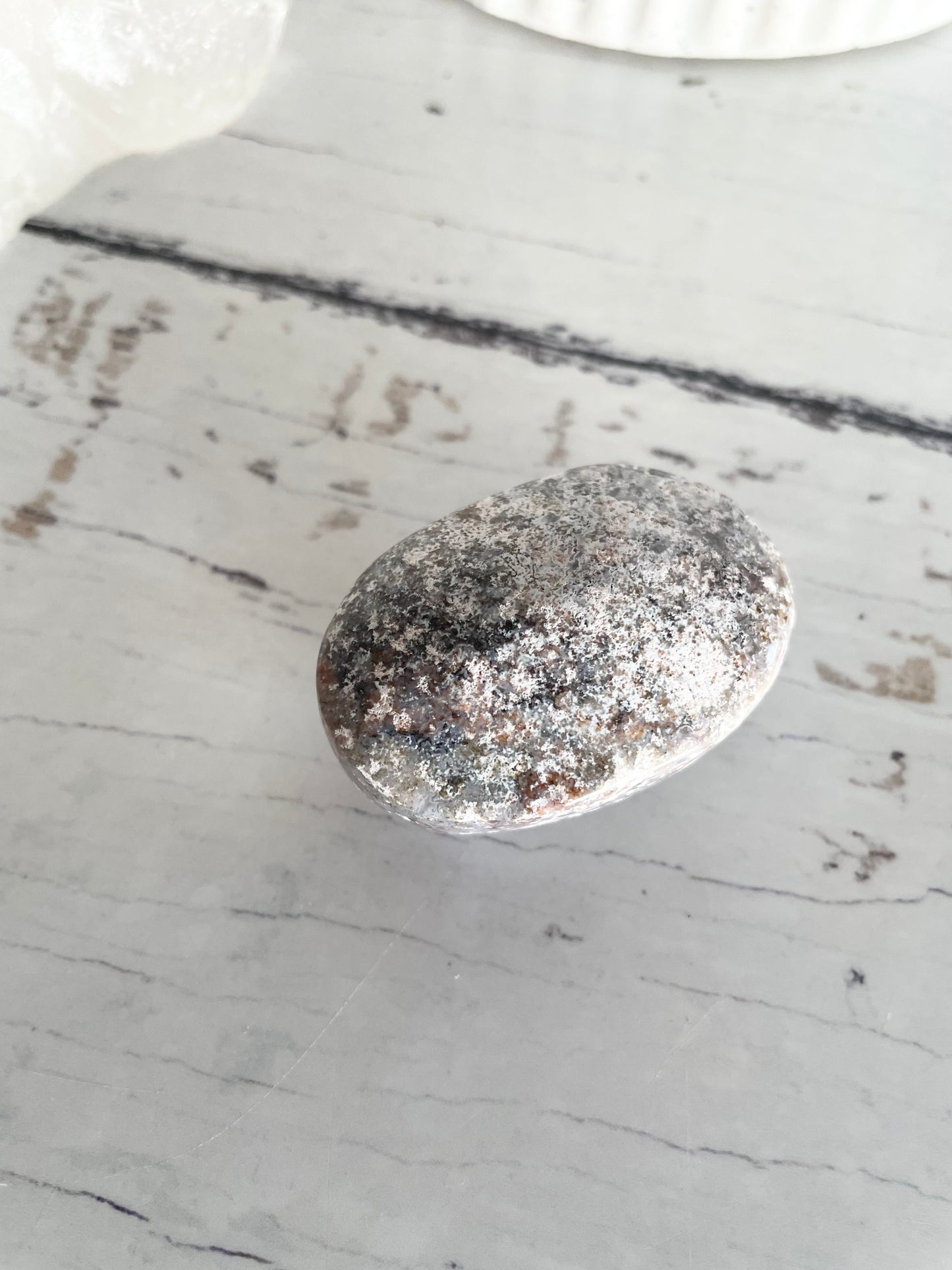 Ocean Jasper Pillow Palm Stone