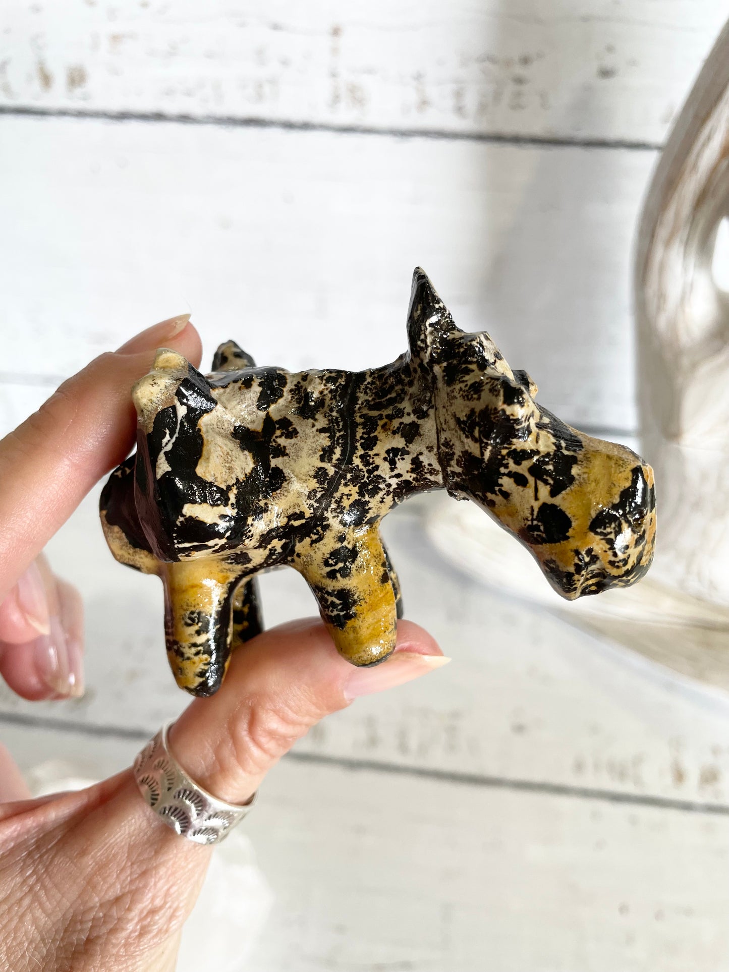 Picture Jasper Donkey ~ 2