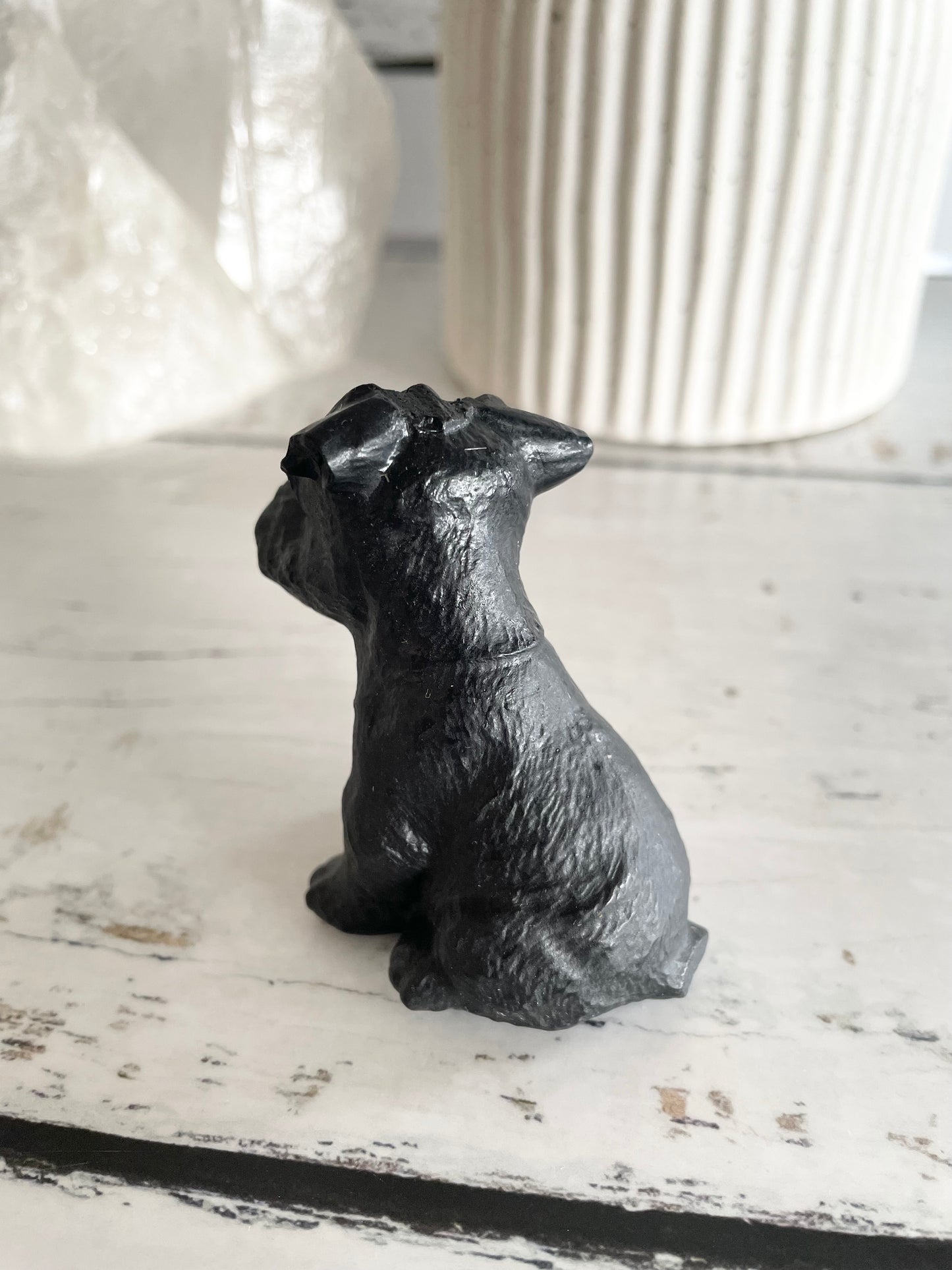 Black Obsidian Dog ~ Schnauzer (cutest face award)
