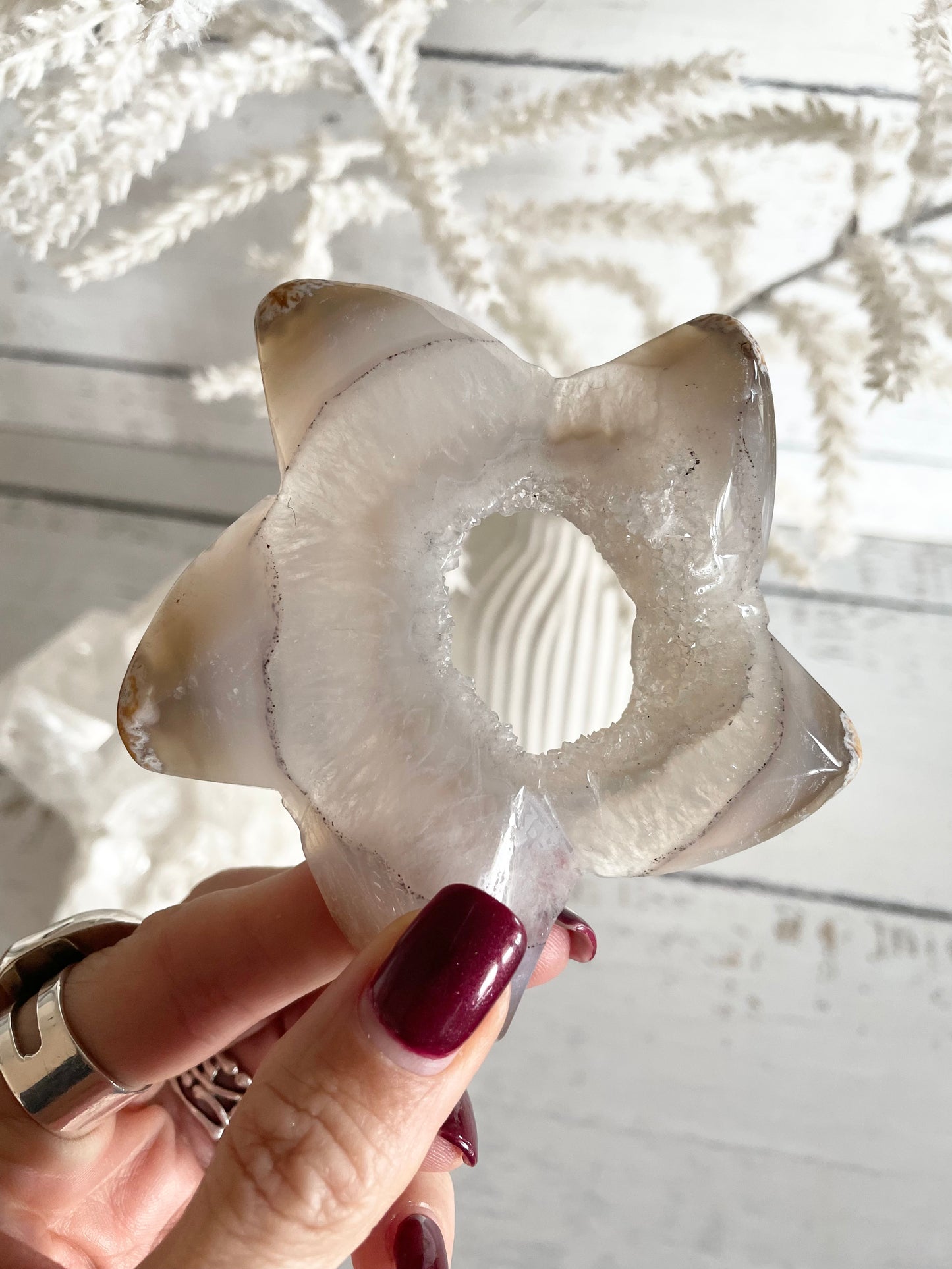 Natural Agate ~ Sea Star