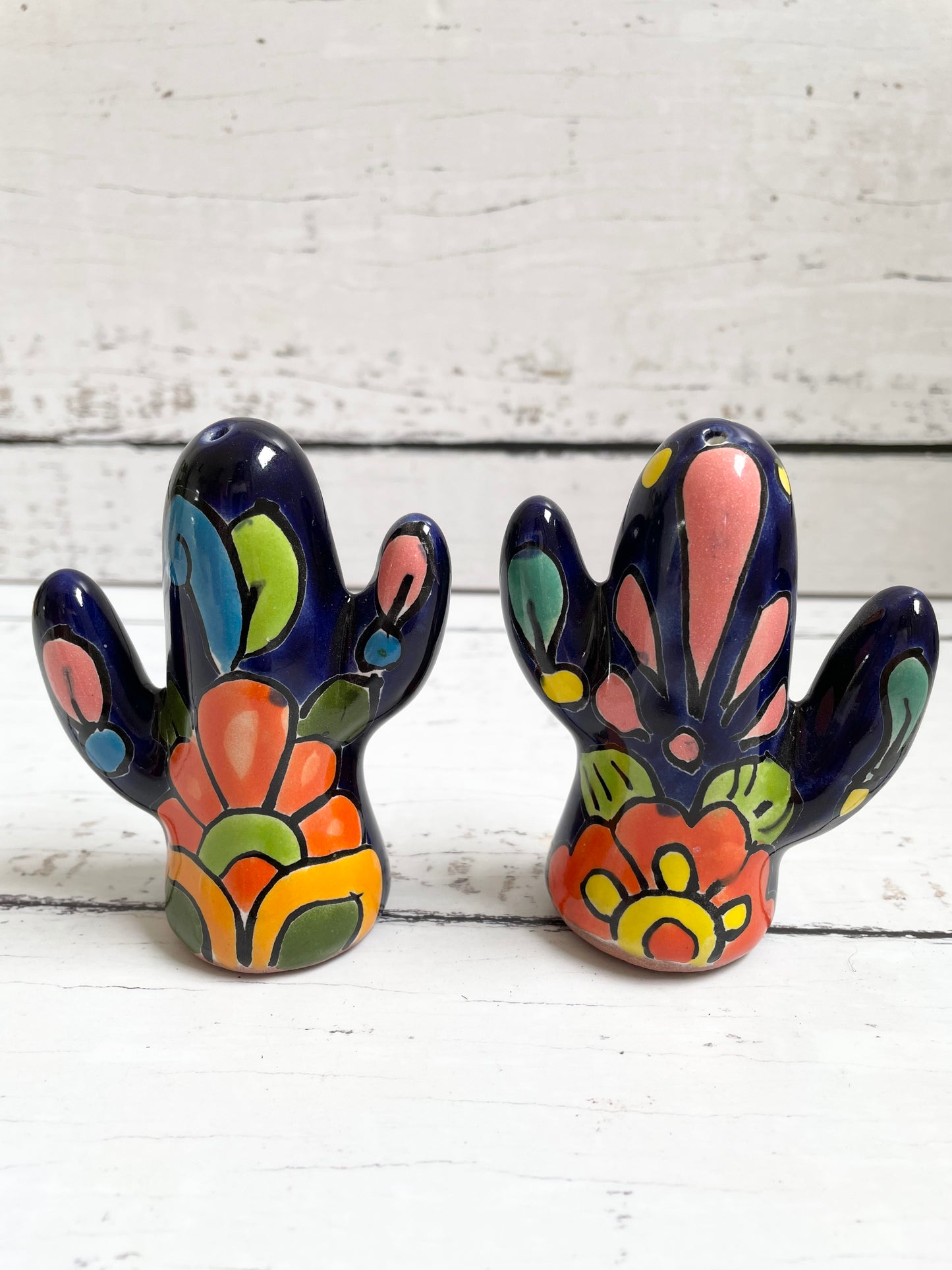 Talavera Pottery Cactus ~ Salt/Pepper Set