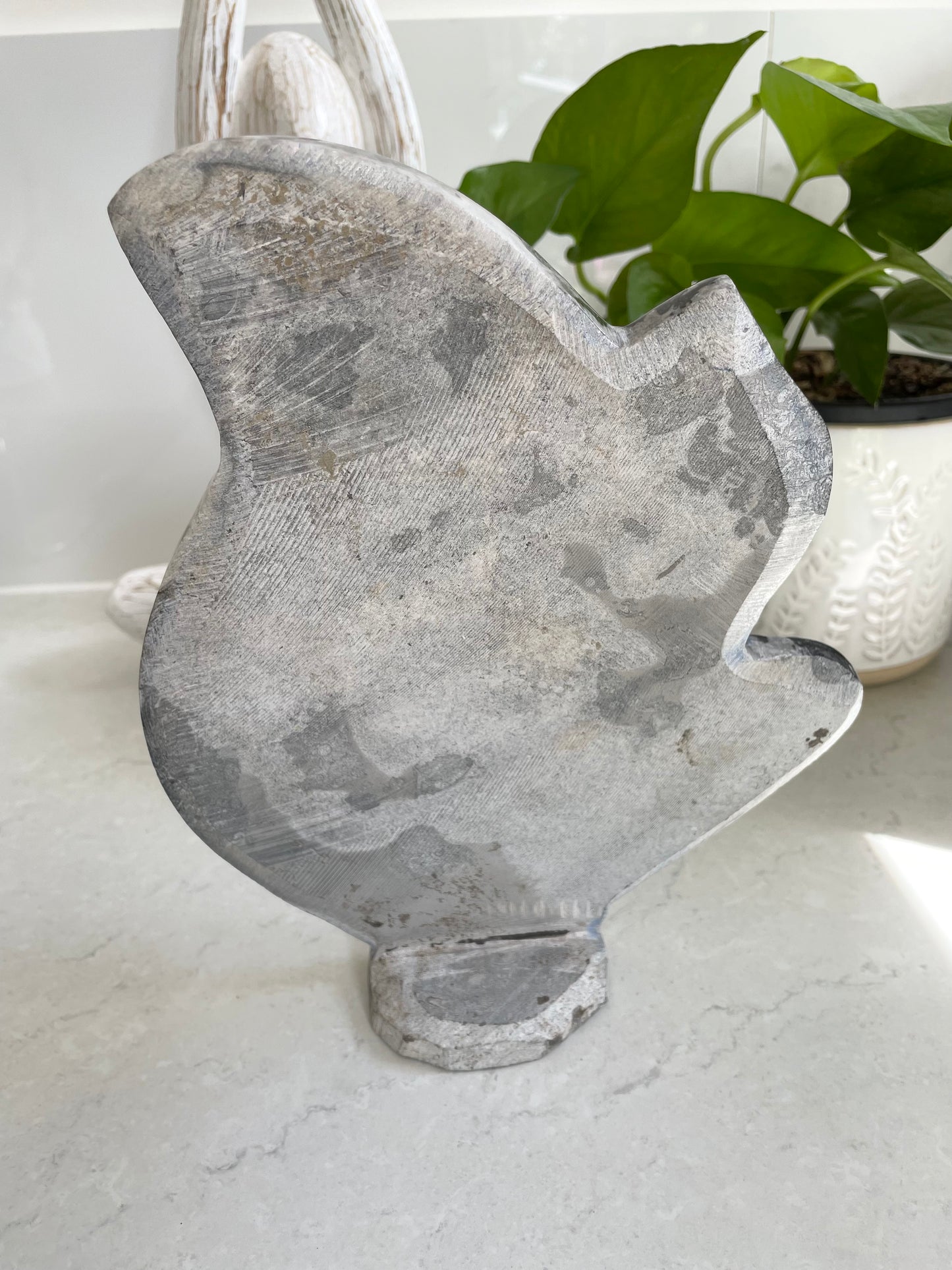 Standing Orthoceras Fossil Plaque