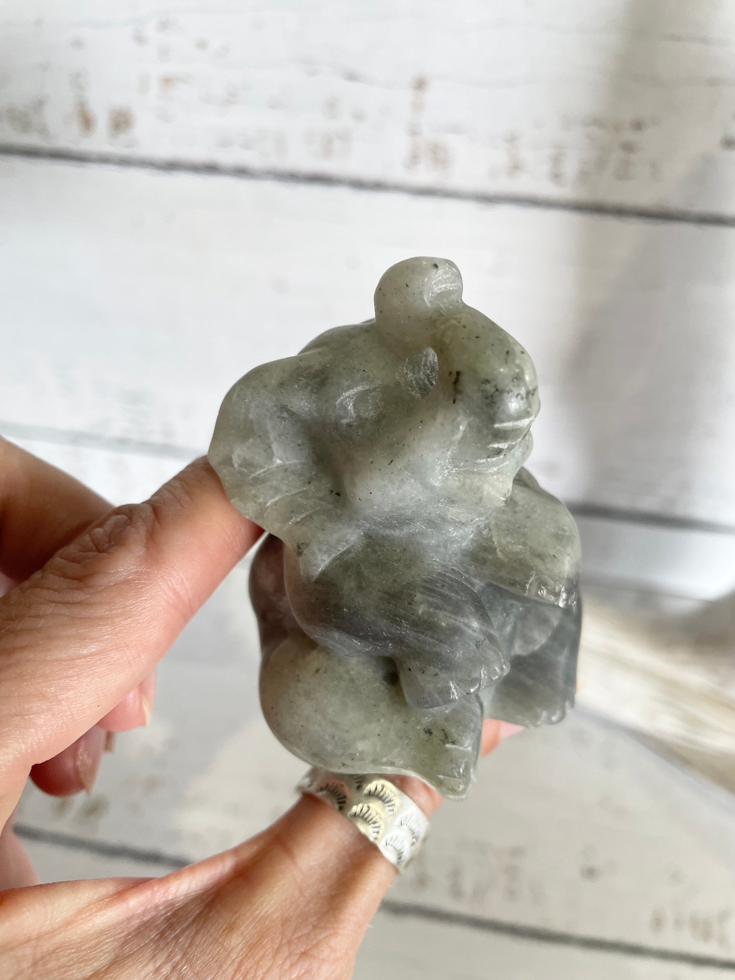 Elephant ~ Labradorite
