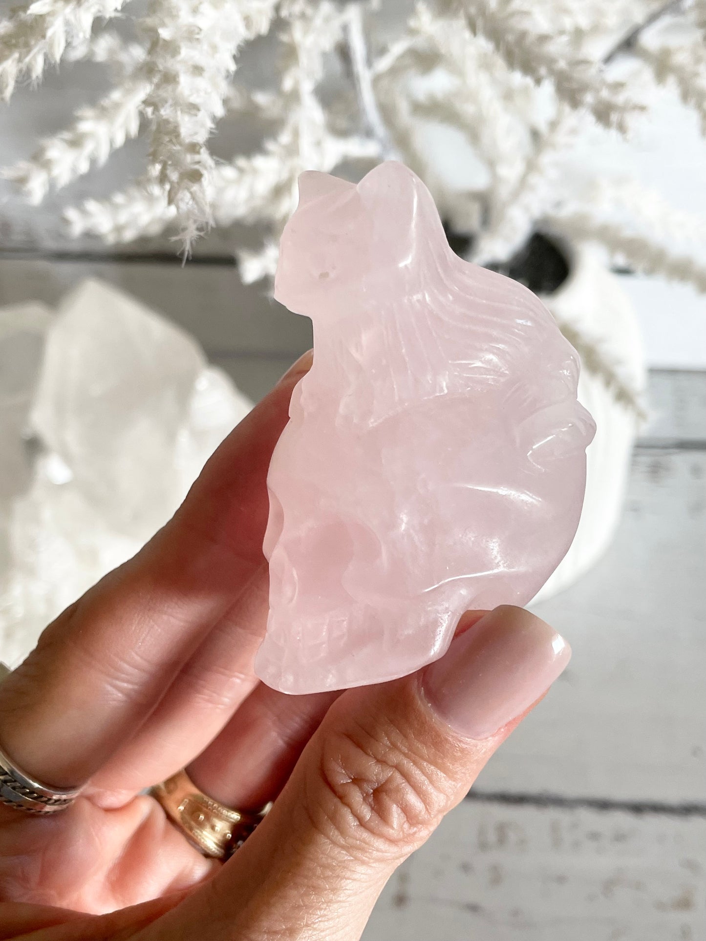 Rose Quartz Cat on Skull