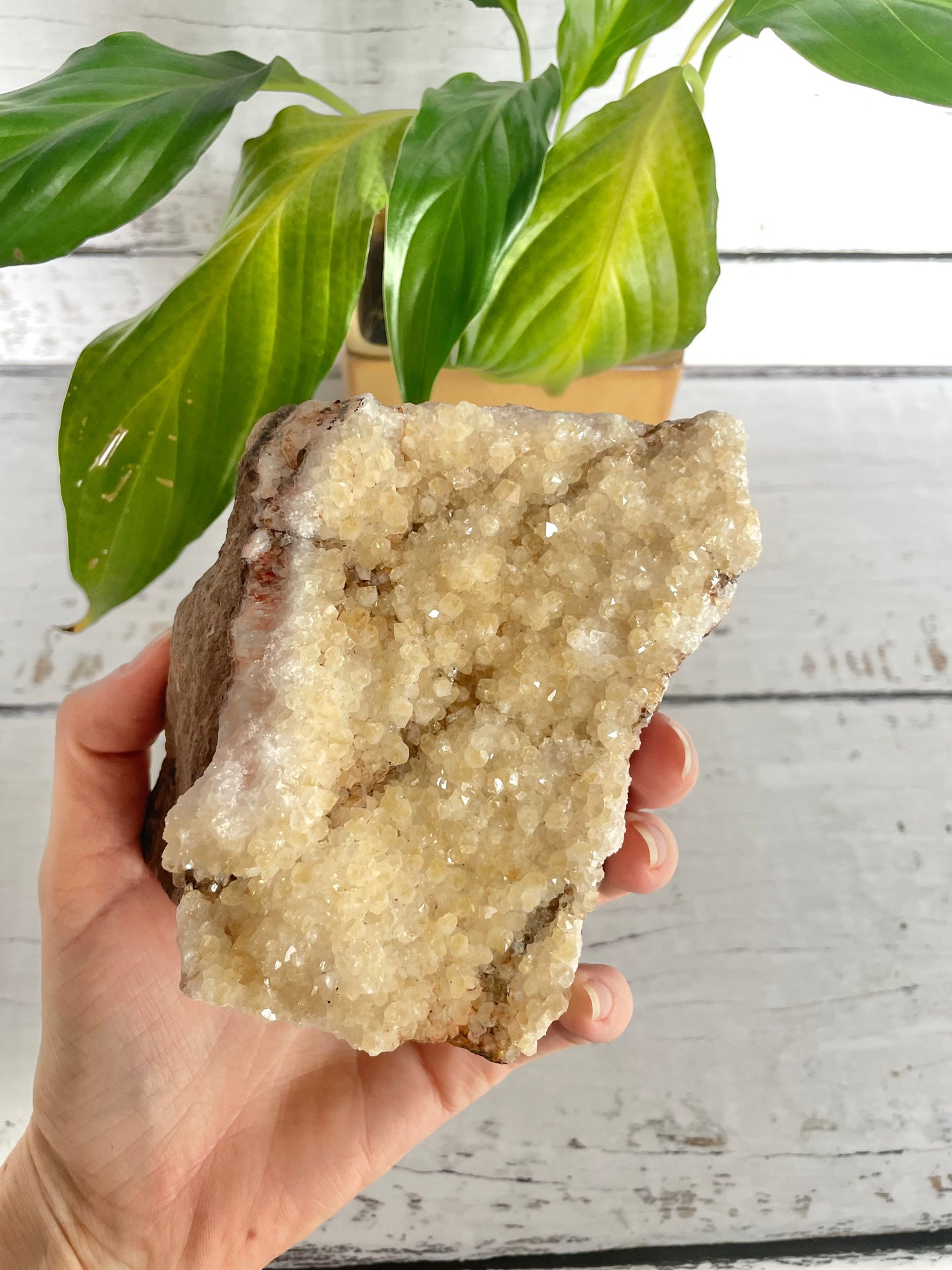 Citrine Standing Cluster