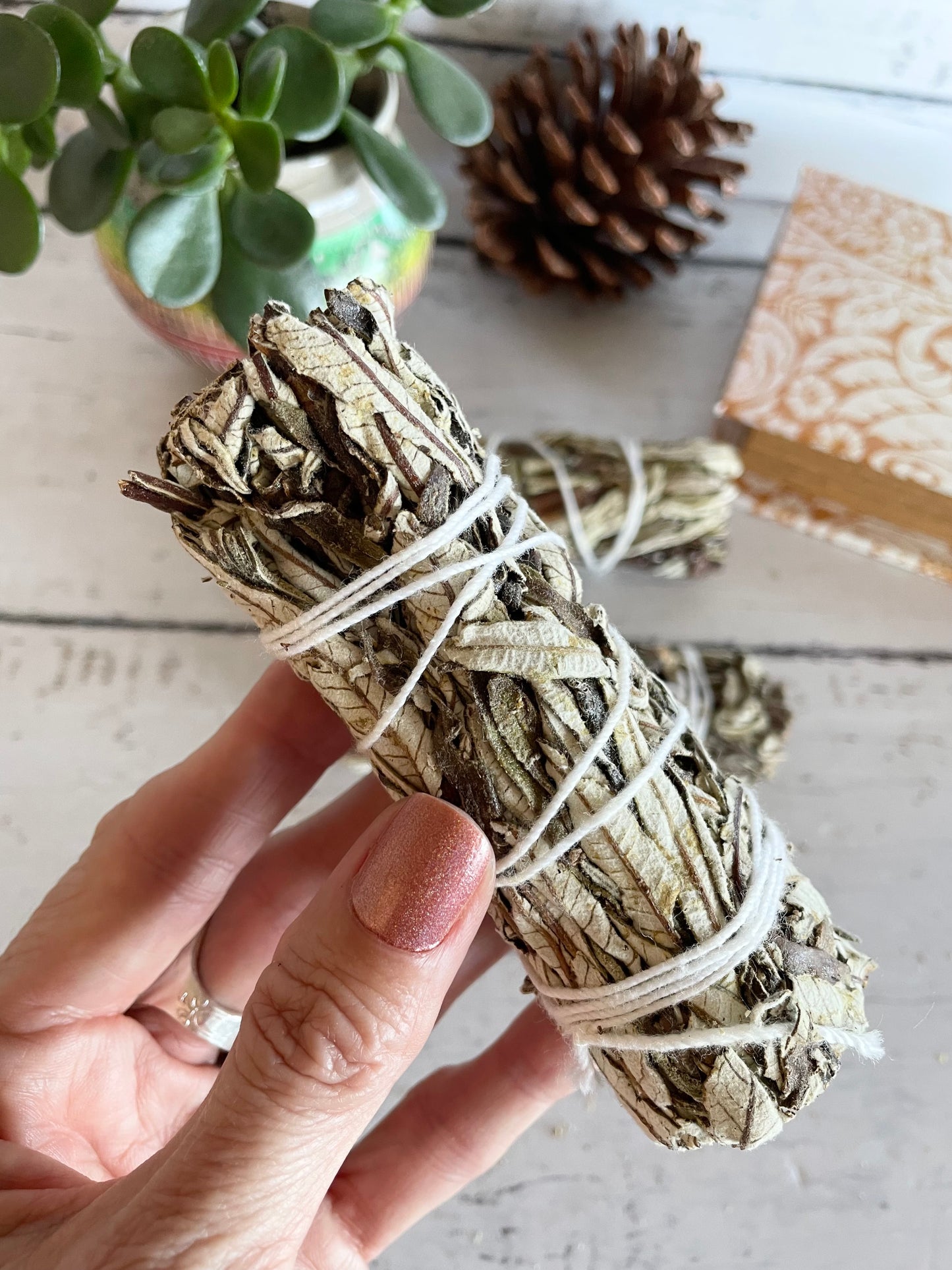 Authentic Smudge bundle ~ Yerba Santa