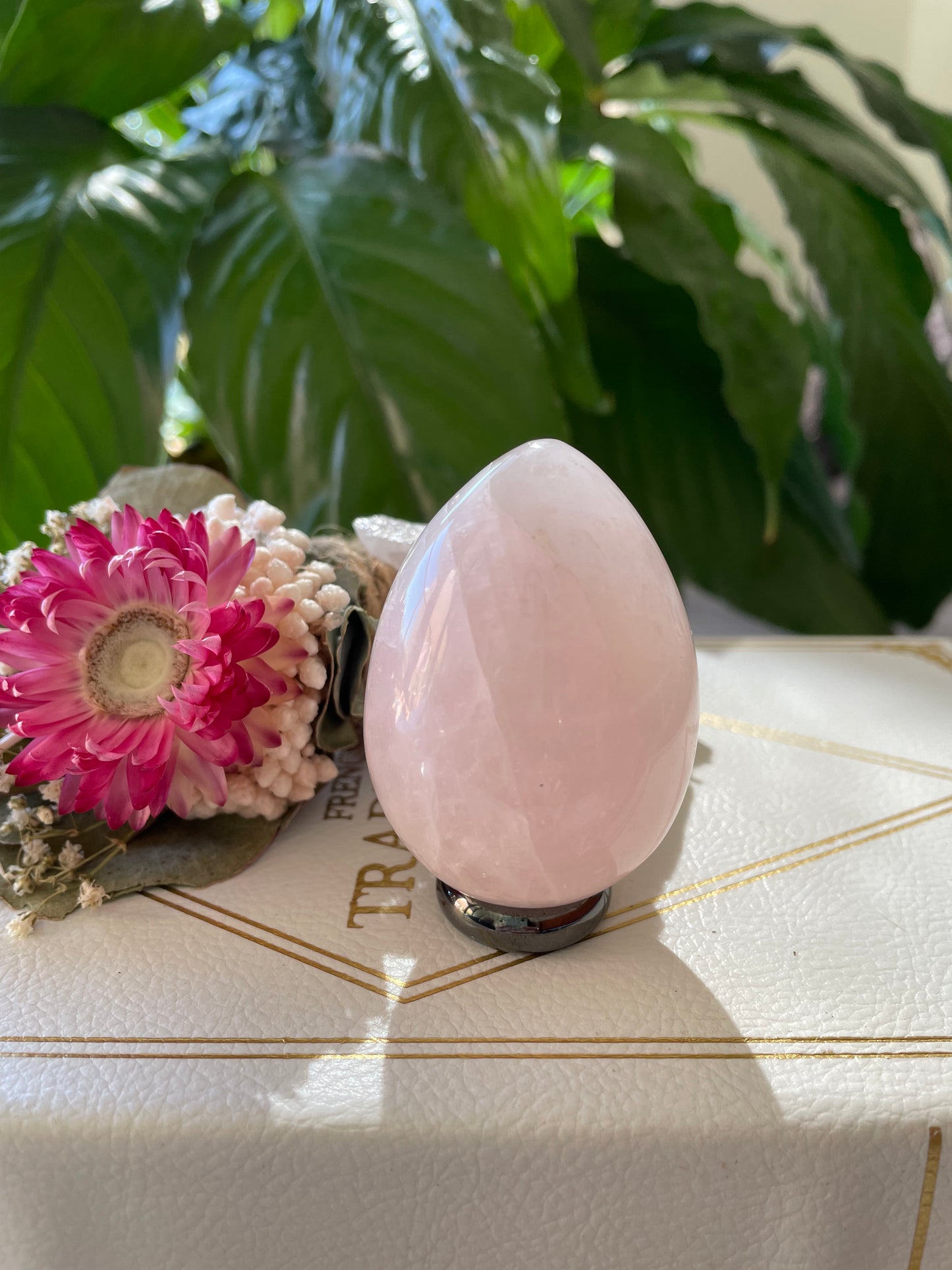Rose Quartz Egg with holder