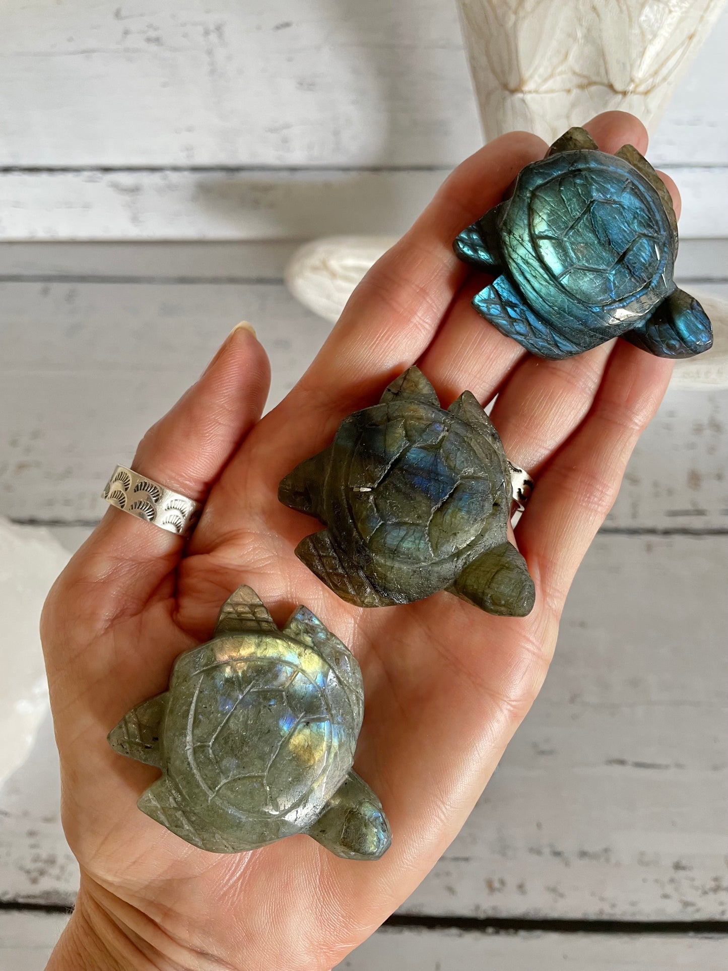 INTUITIVELY CHOSEN ~ Labradorite Turtle