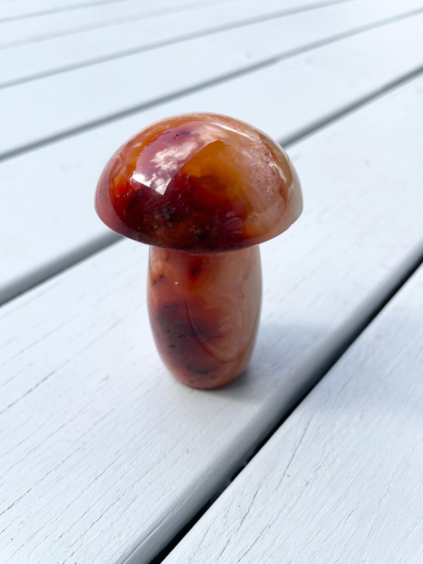 Carnelian Mushroom