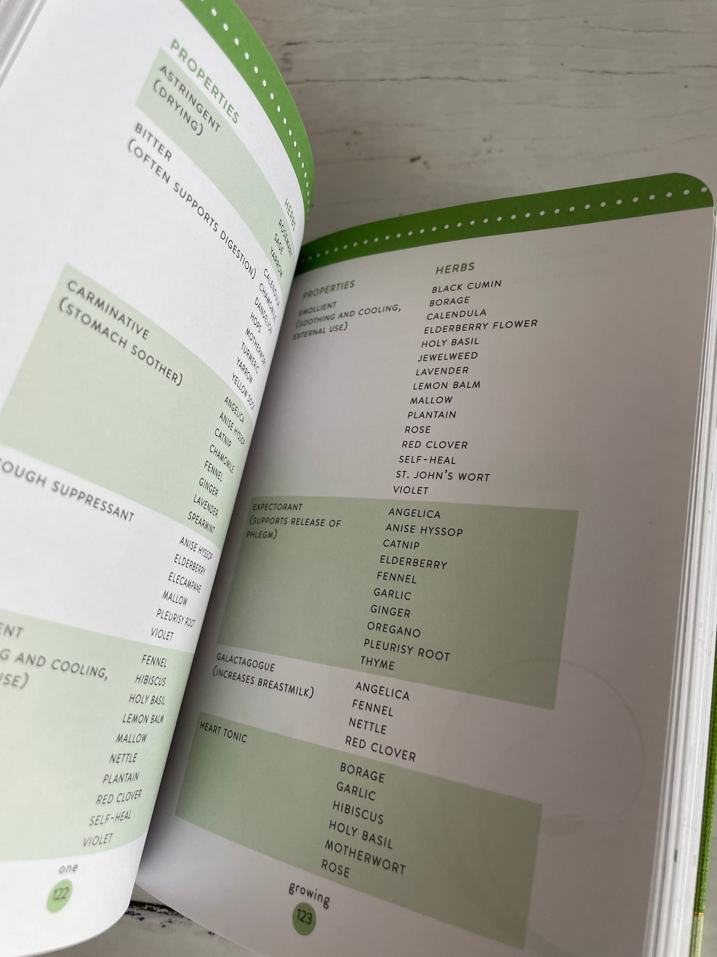 Llewellyn's Little Book of Herbs