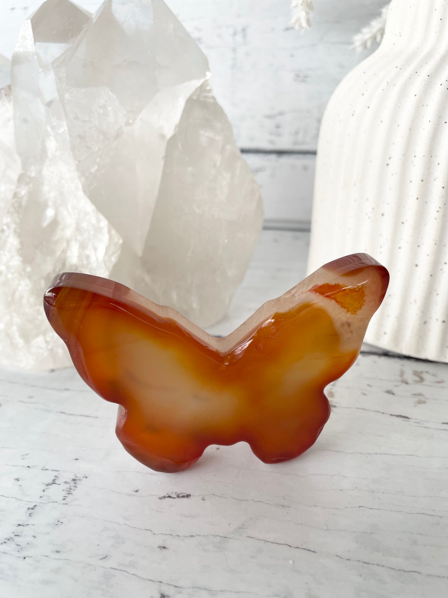 Carnelian Butterfly