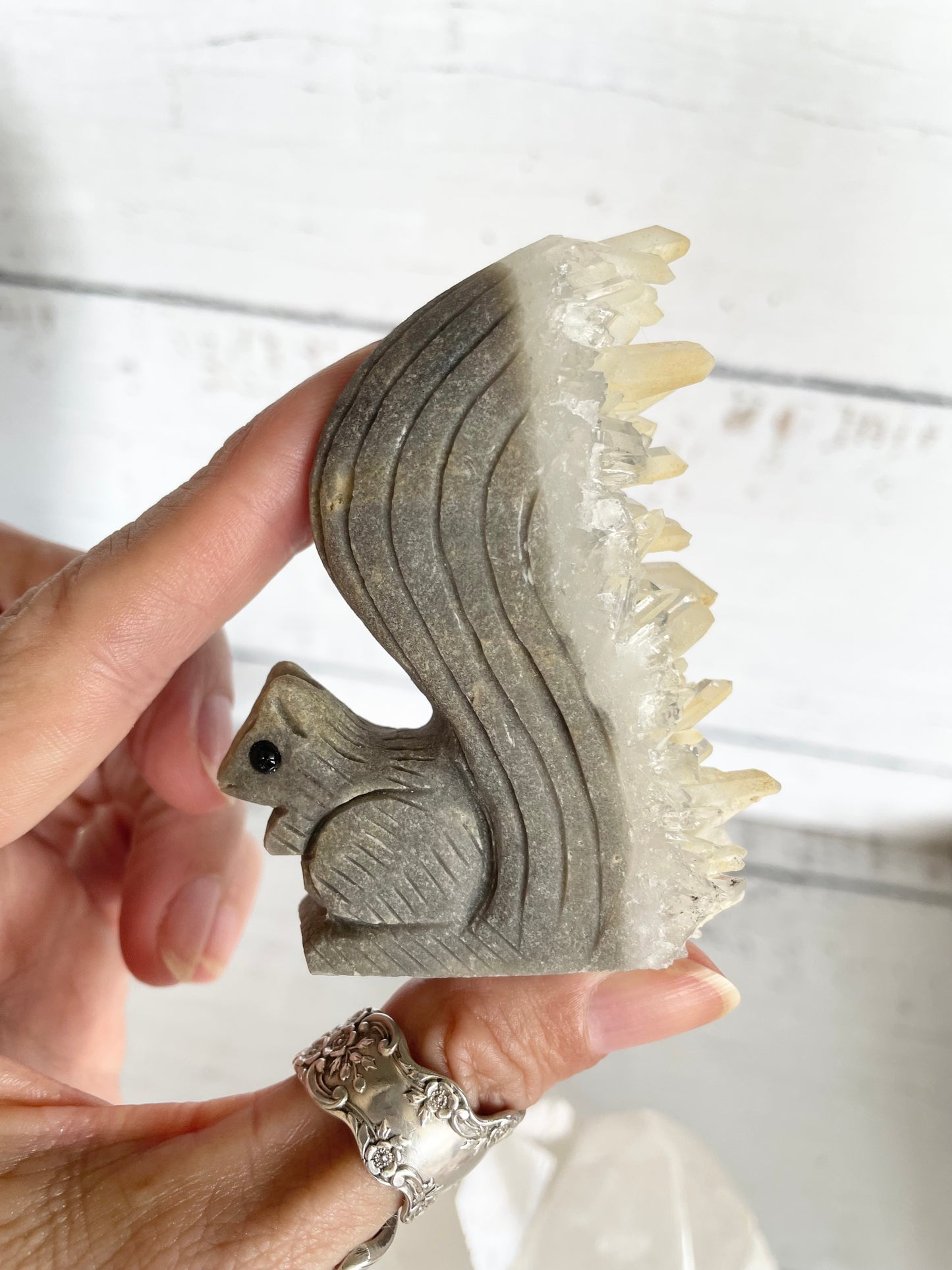 Quartz Squirrel 7