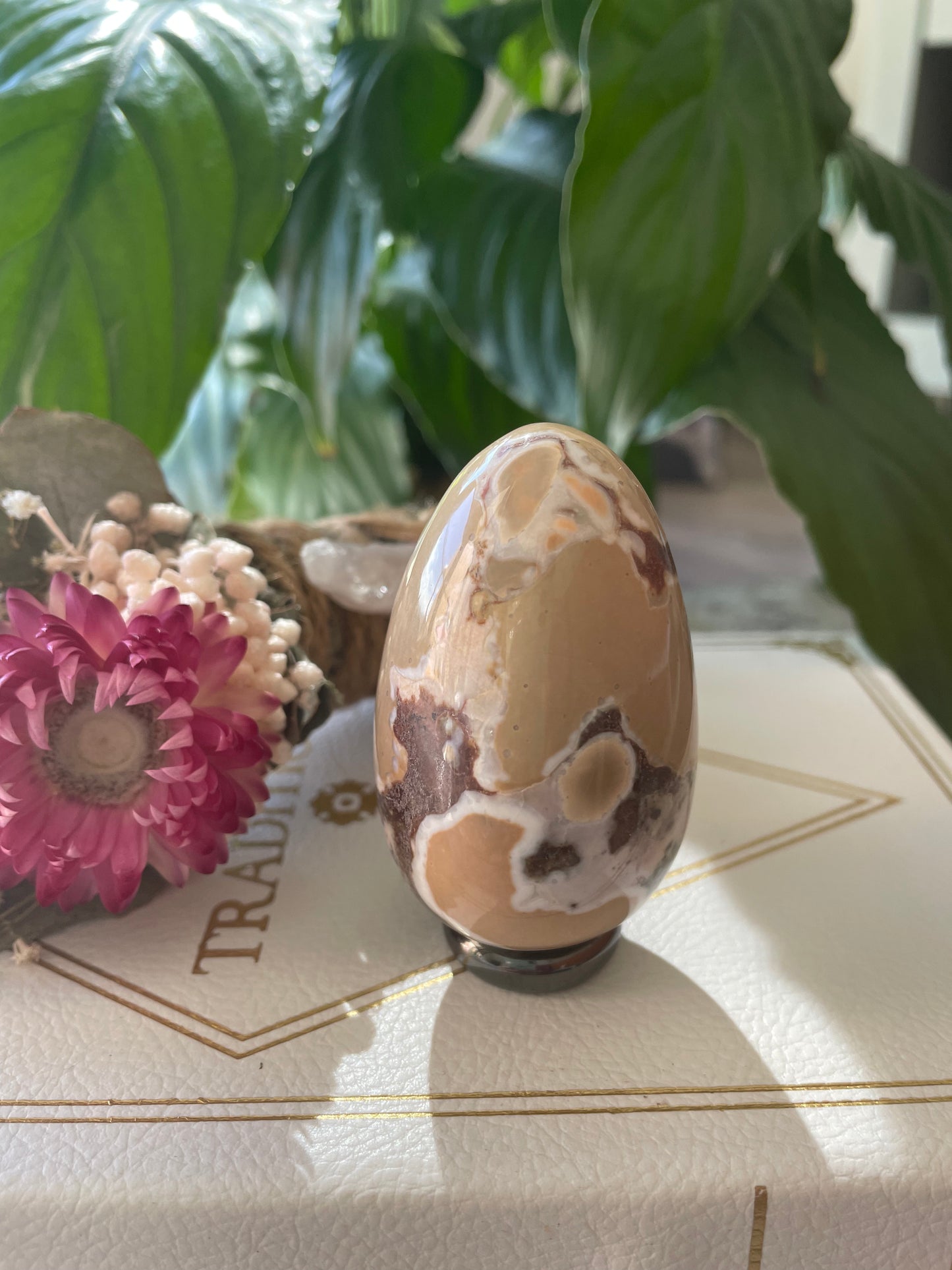 Spotted Agate Egg with holder