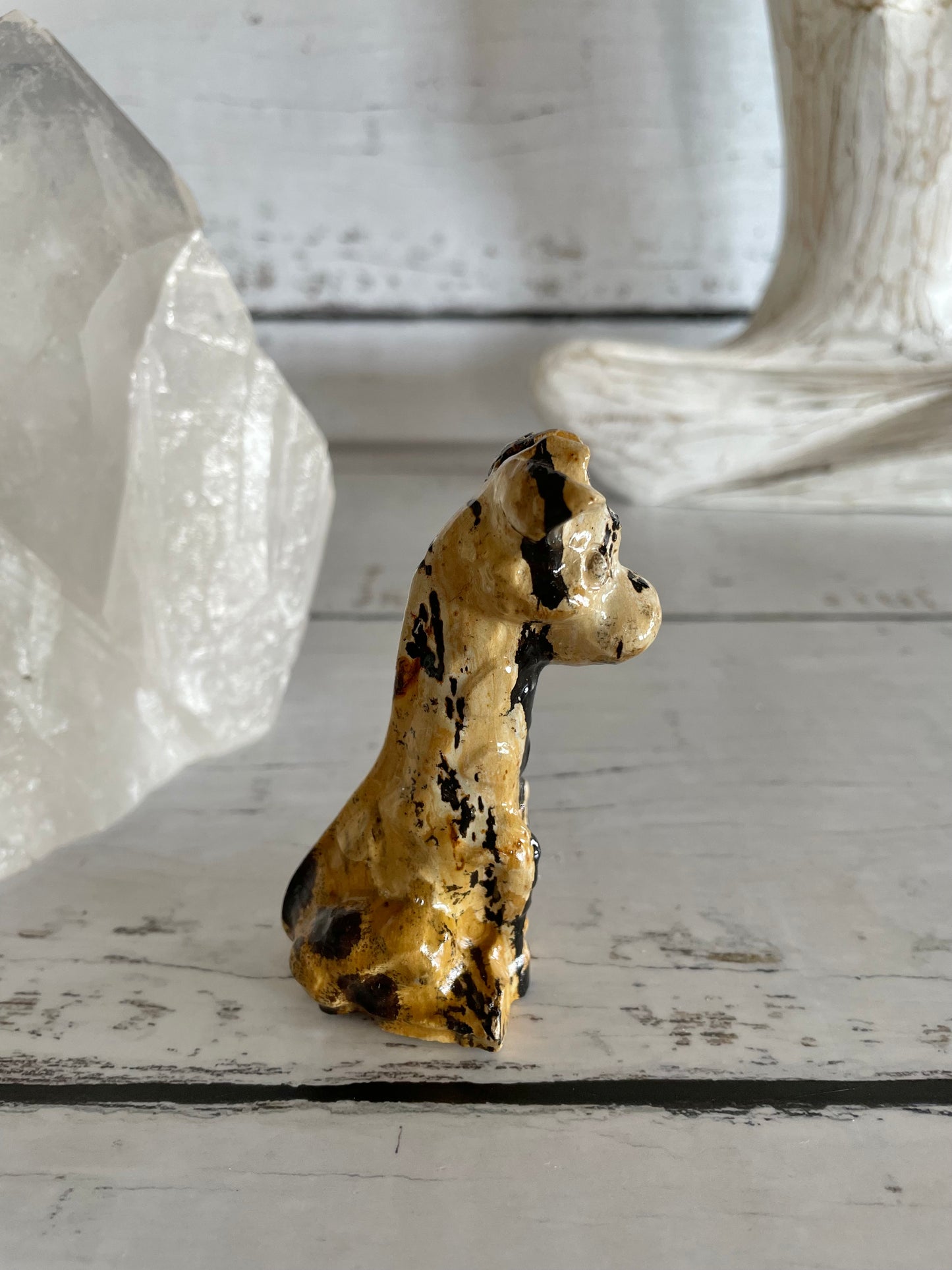 Picture Jasper Giraffe ~ 15