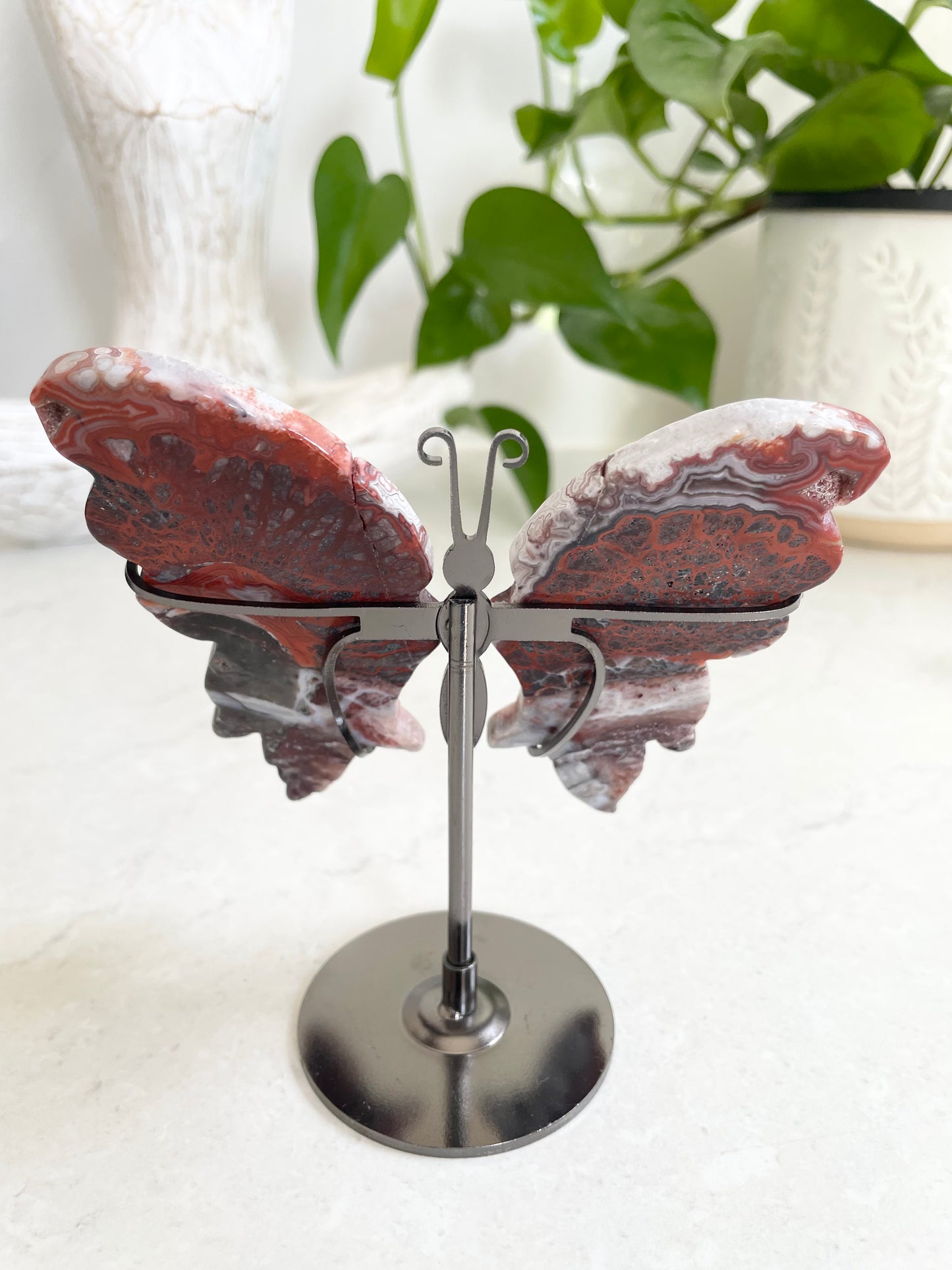 Butterfly ~ Mexican crazy lace agate