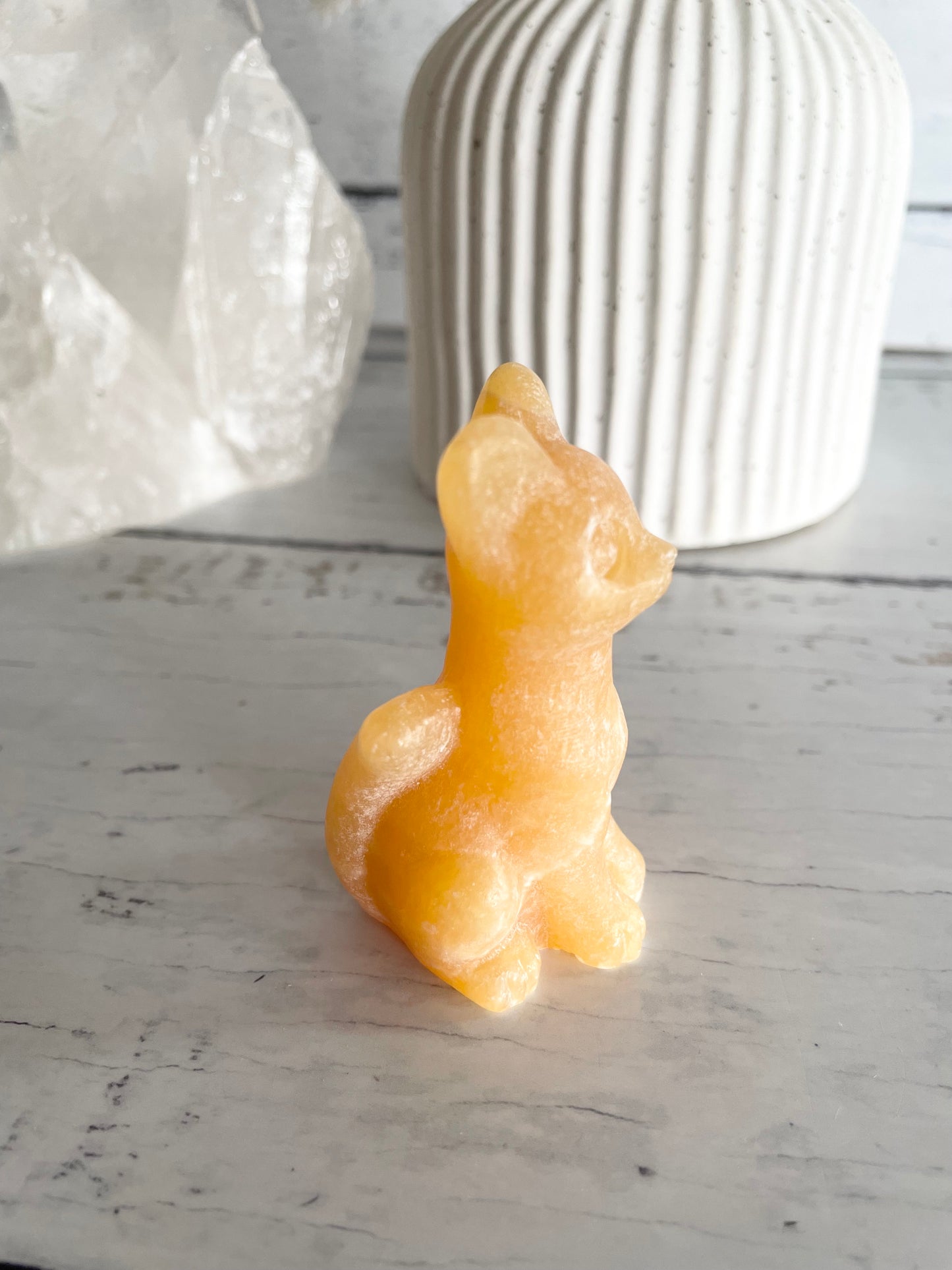 Cat - Orange Calcite