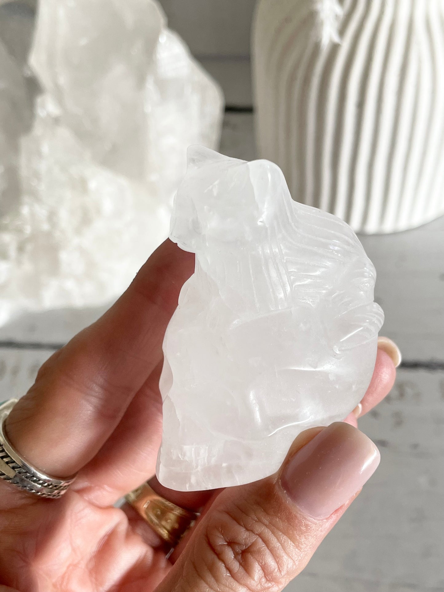 Clear Quartz Cat on Skull