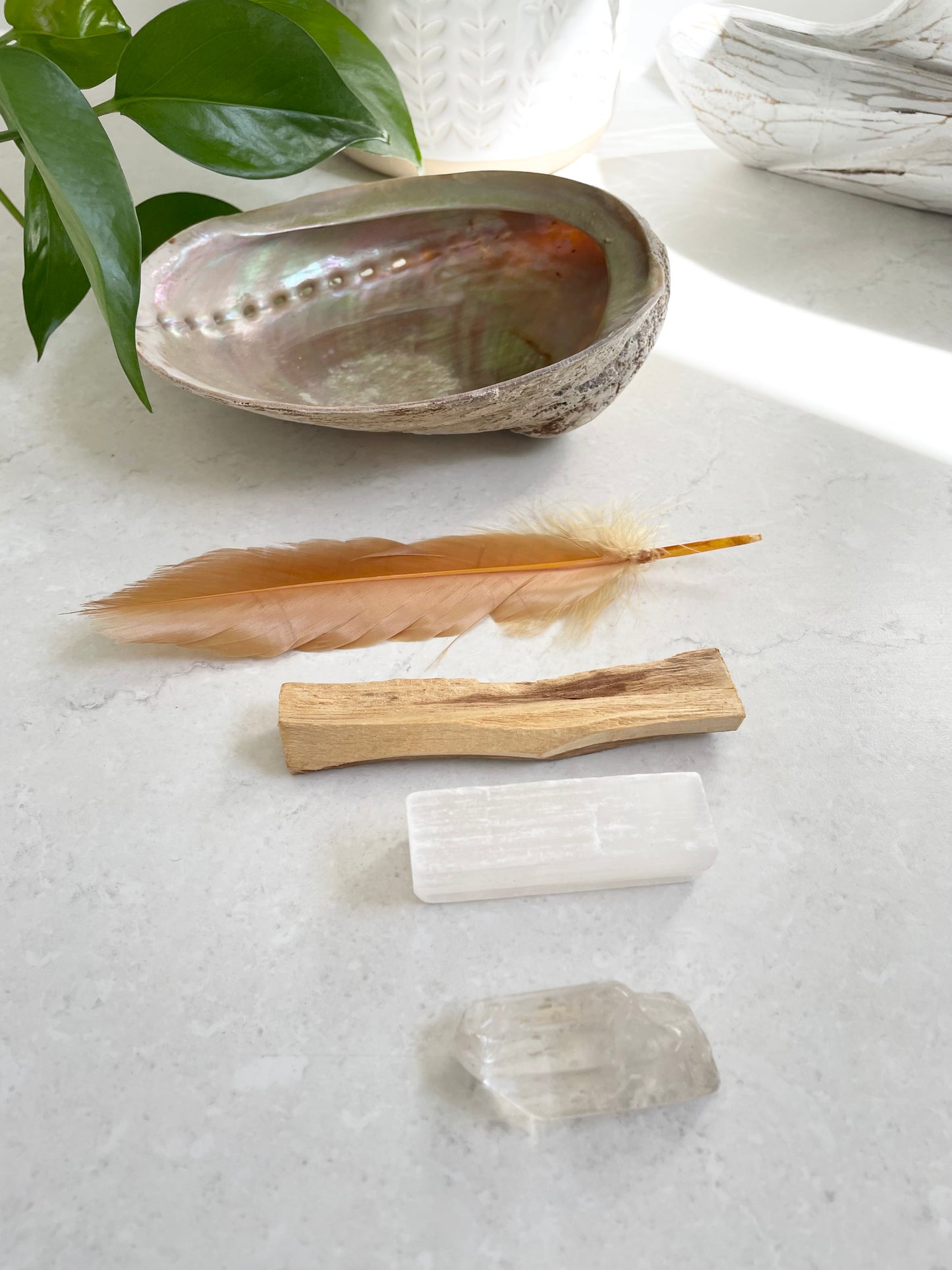 Abalone Shell /Smoke Medicine ~ Set of 5