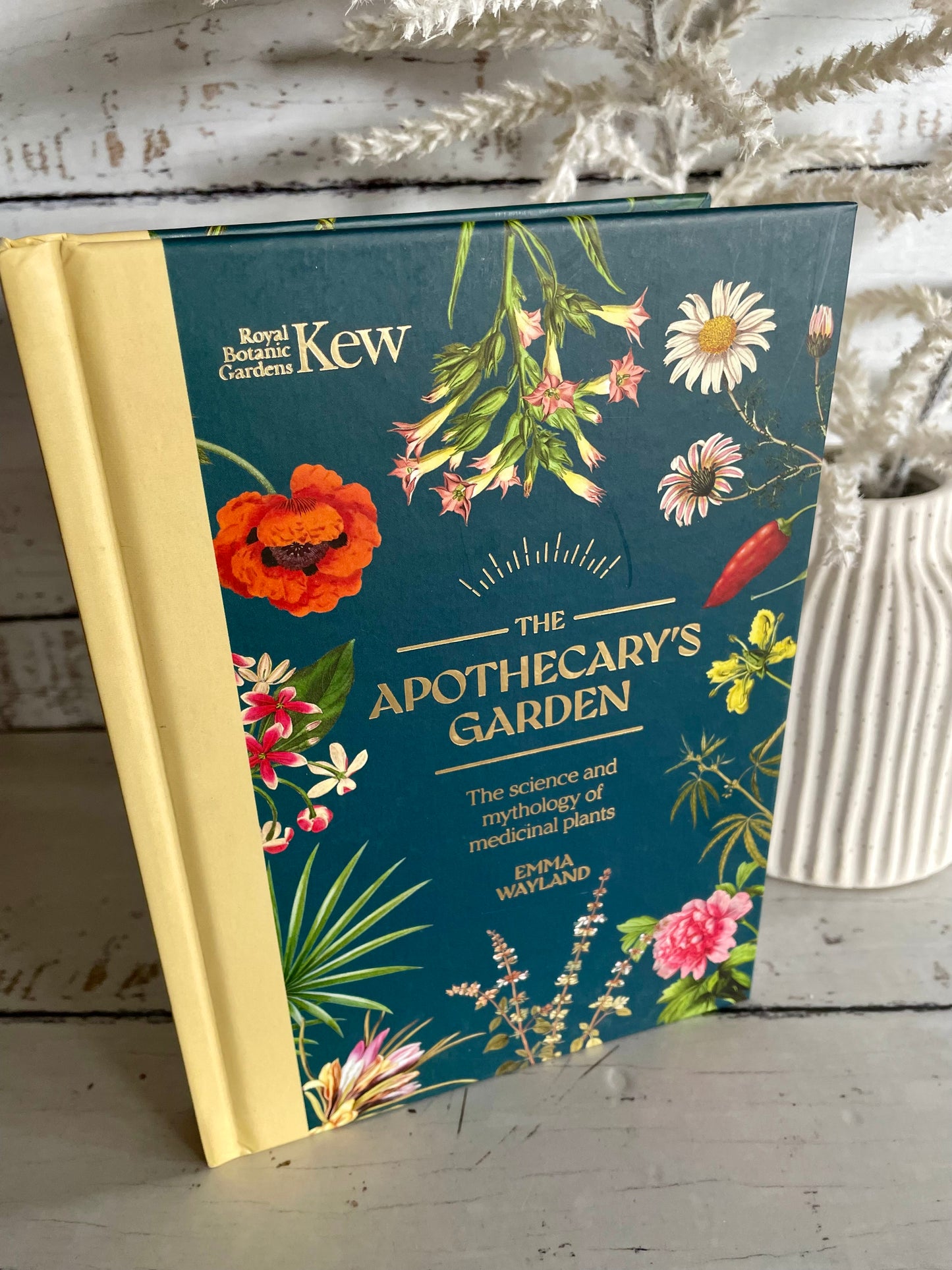 The Apothecary’s Garden