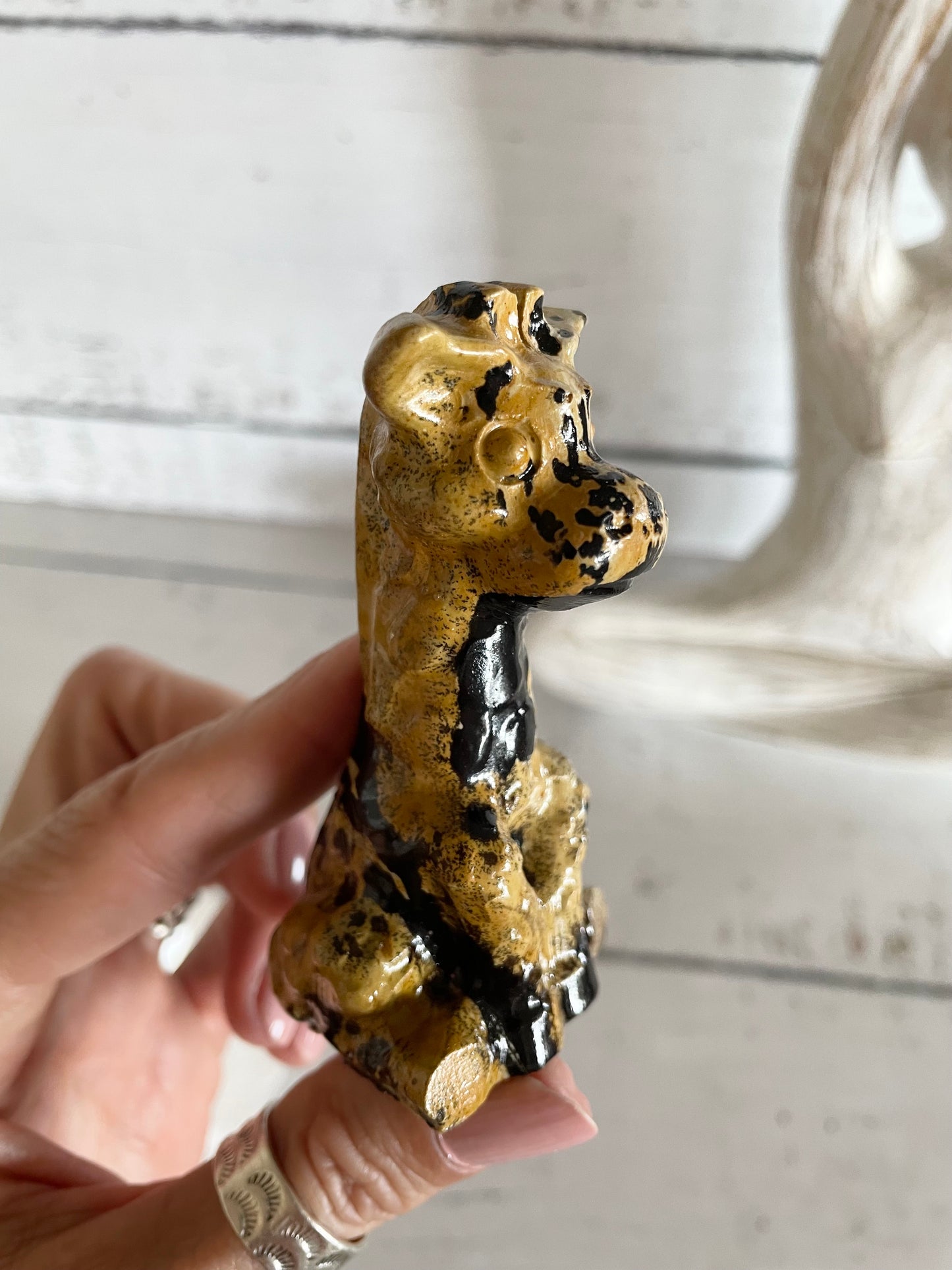 Picture Jasper Giraffe ~ 13