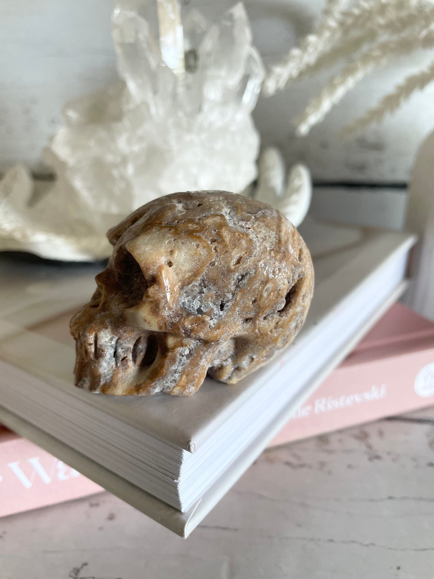 Crazy Lace Agate Skull