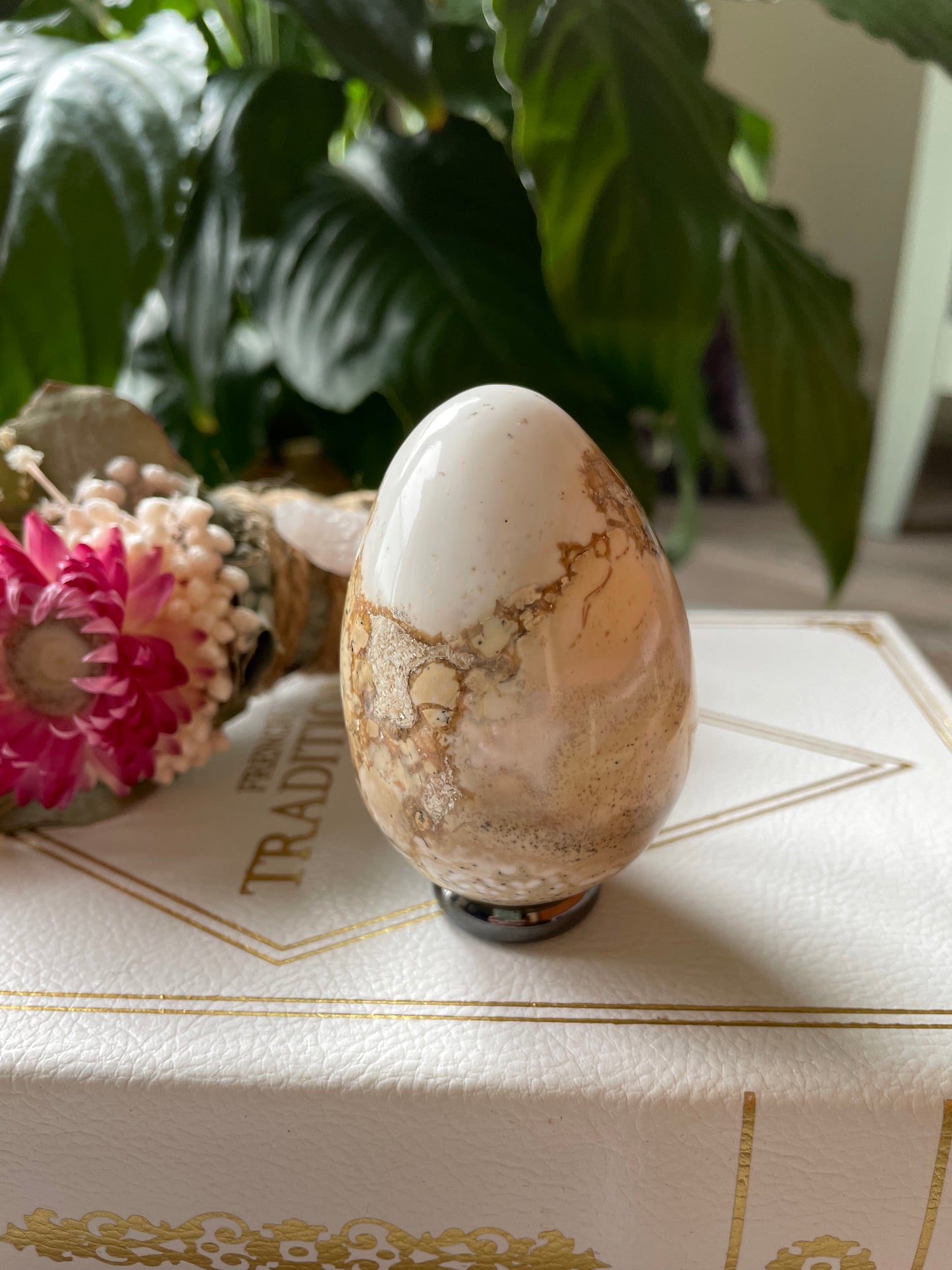 Spotted Agate Egg Includes holder