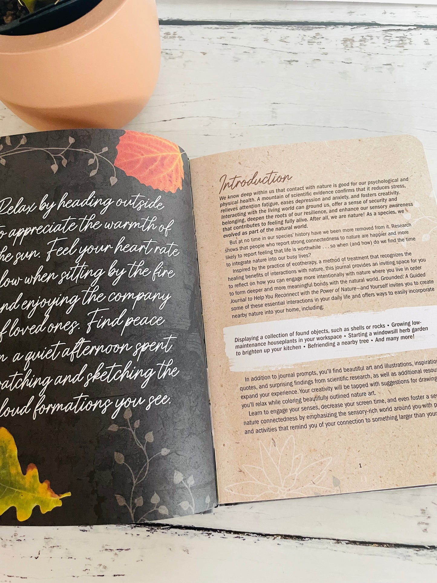 Grounded: A Guided Journal