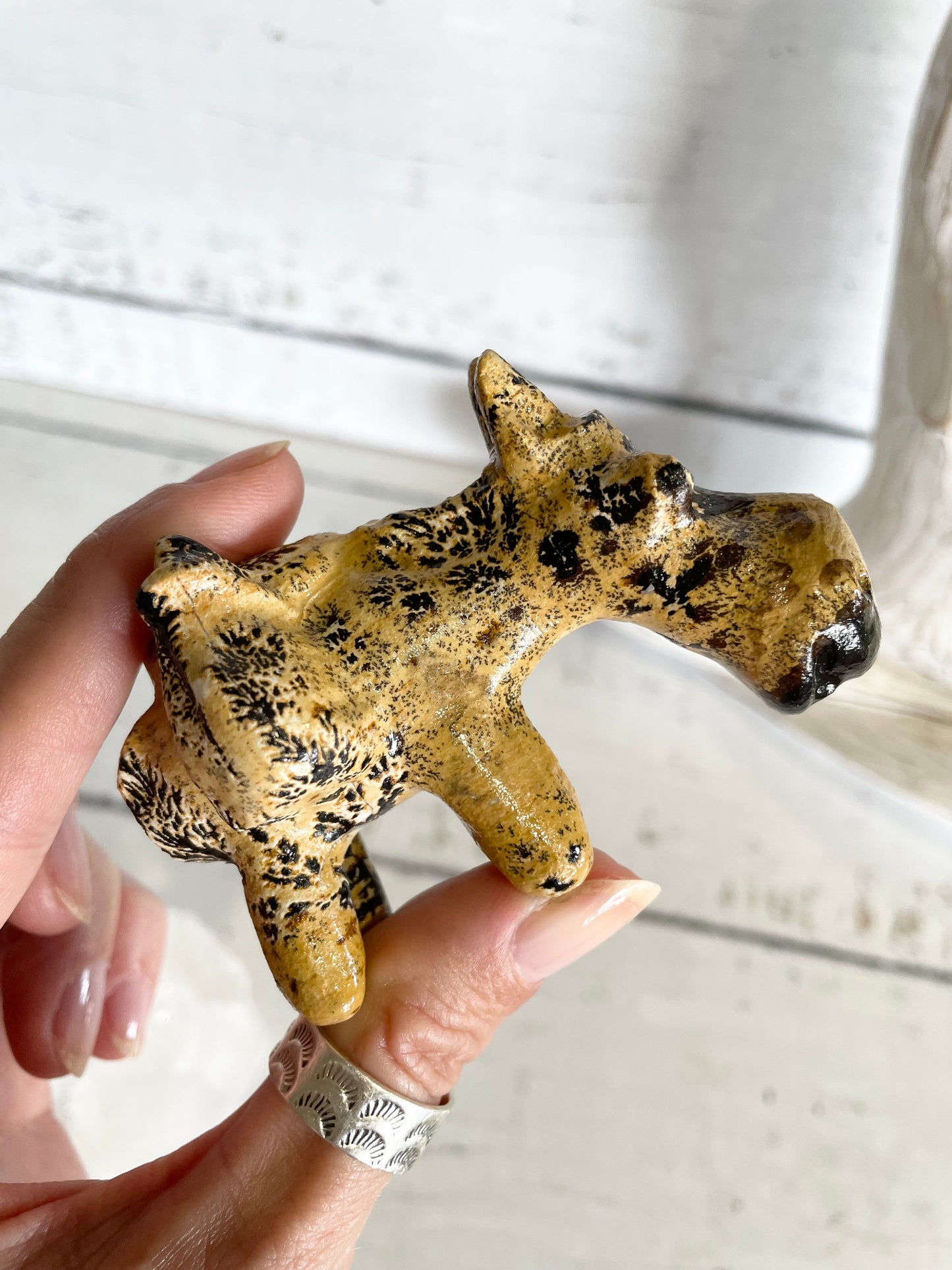 Picture Jasper Donkey ~ 3