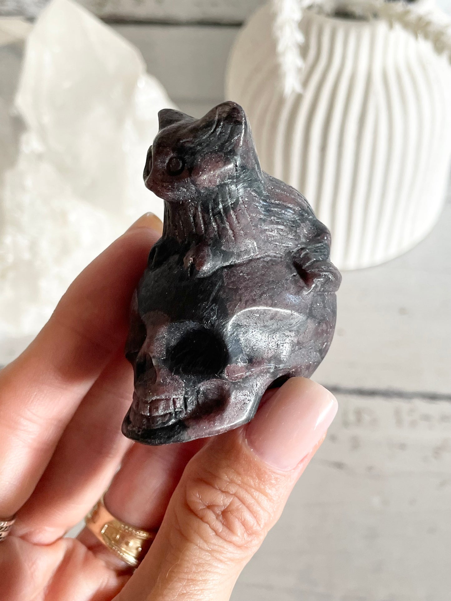 Garnet Cat on Skull