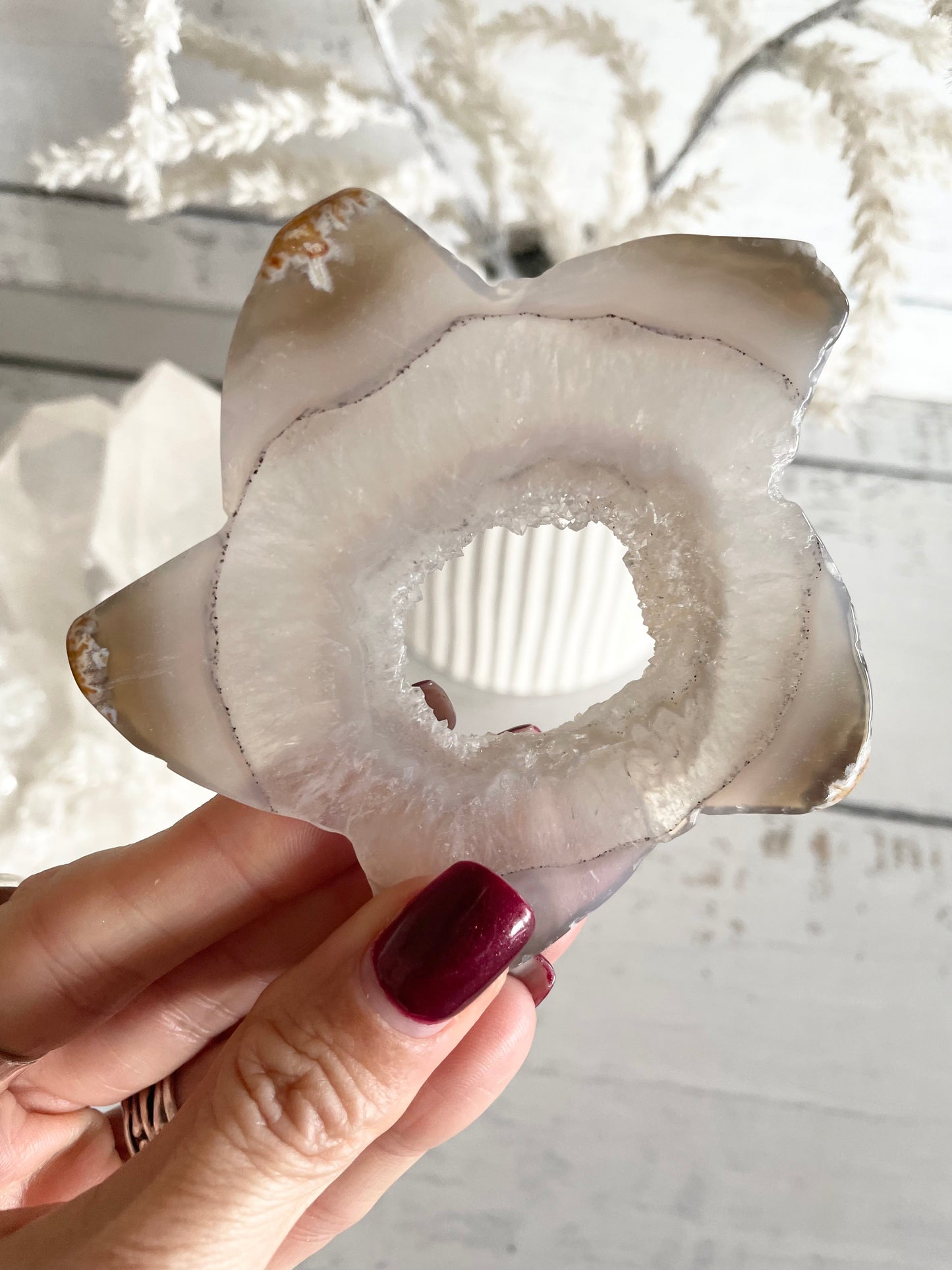 Natural Agate ~ Sea Star