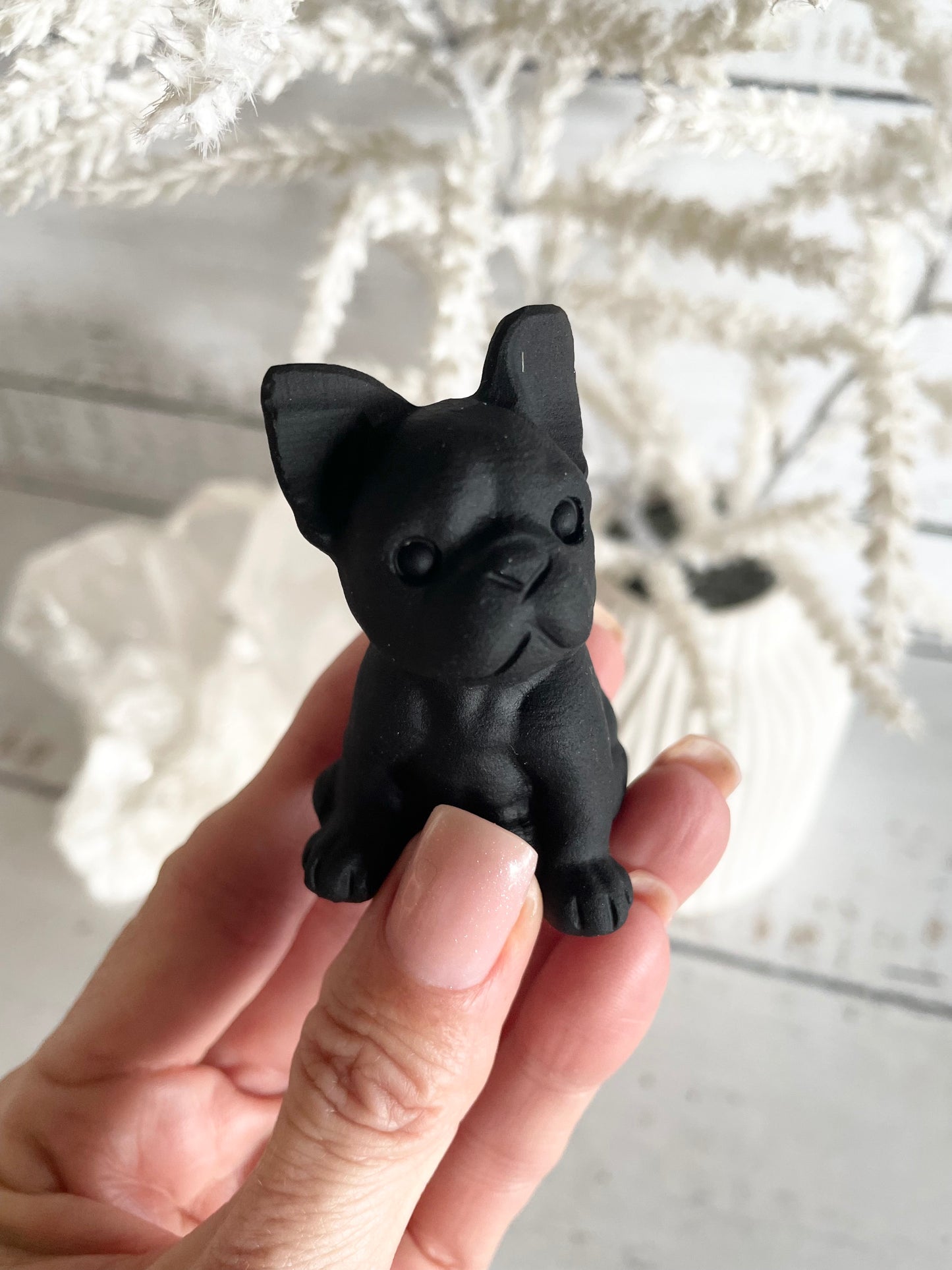 Black Obsidian Dog ~ French Bulldog (cutest frenchie)