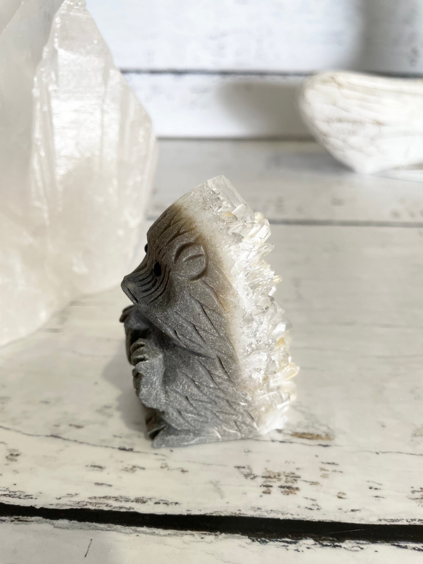 Quartz ~ Hedgehog 1