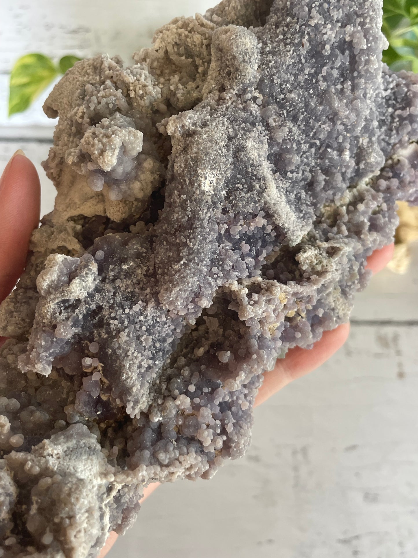 Grape Agate /Botryoidal Purple Chalcedony