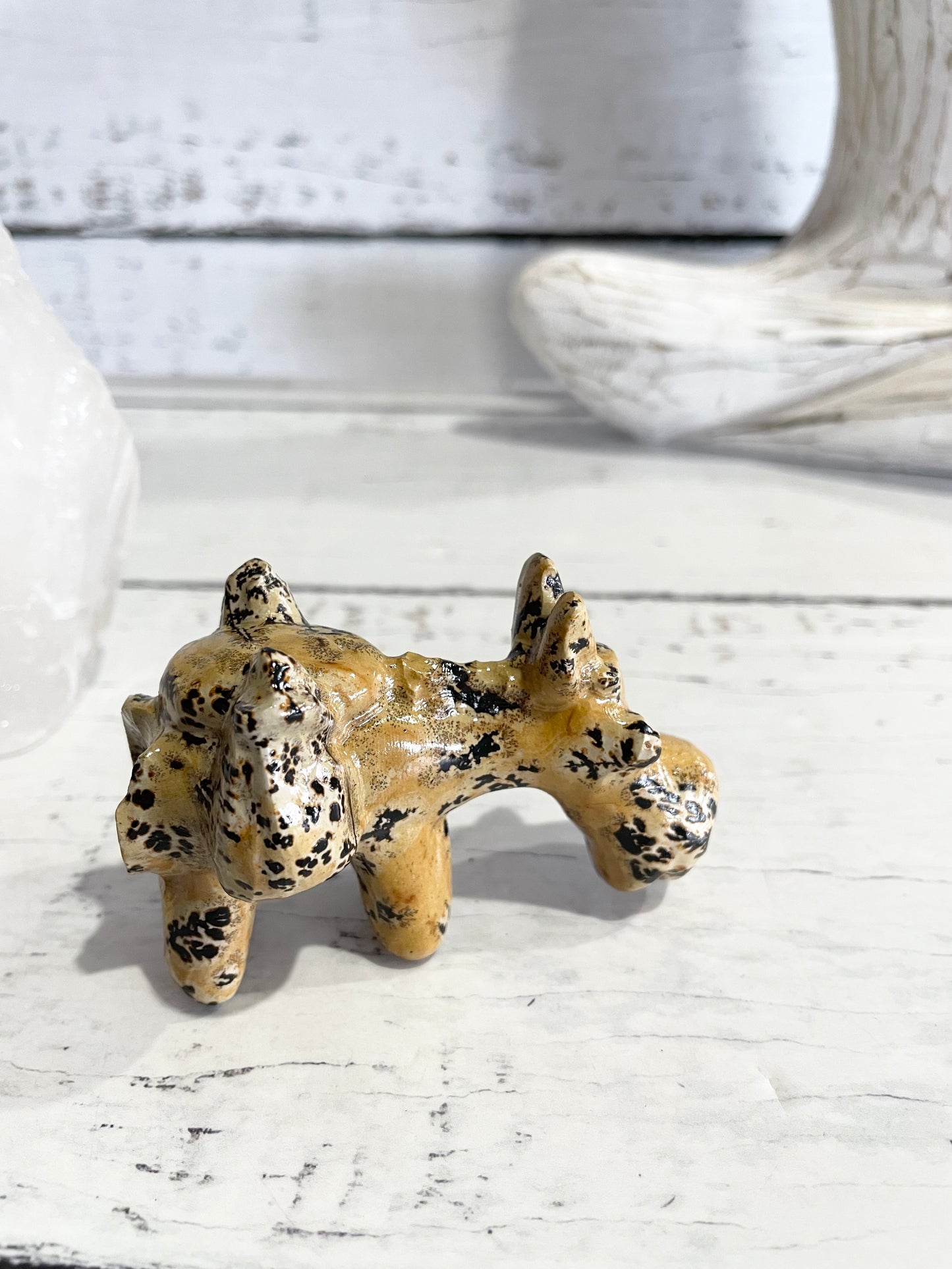 Picture Jasper Donkey ~ 6