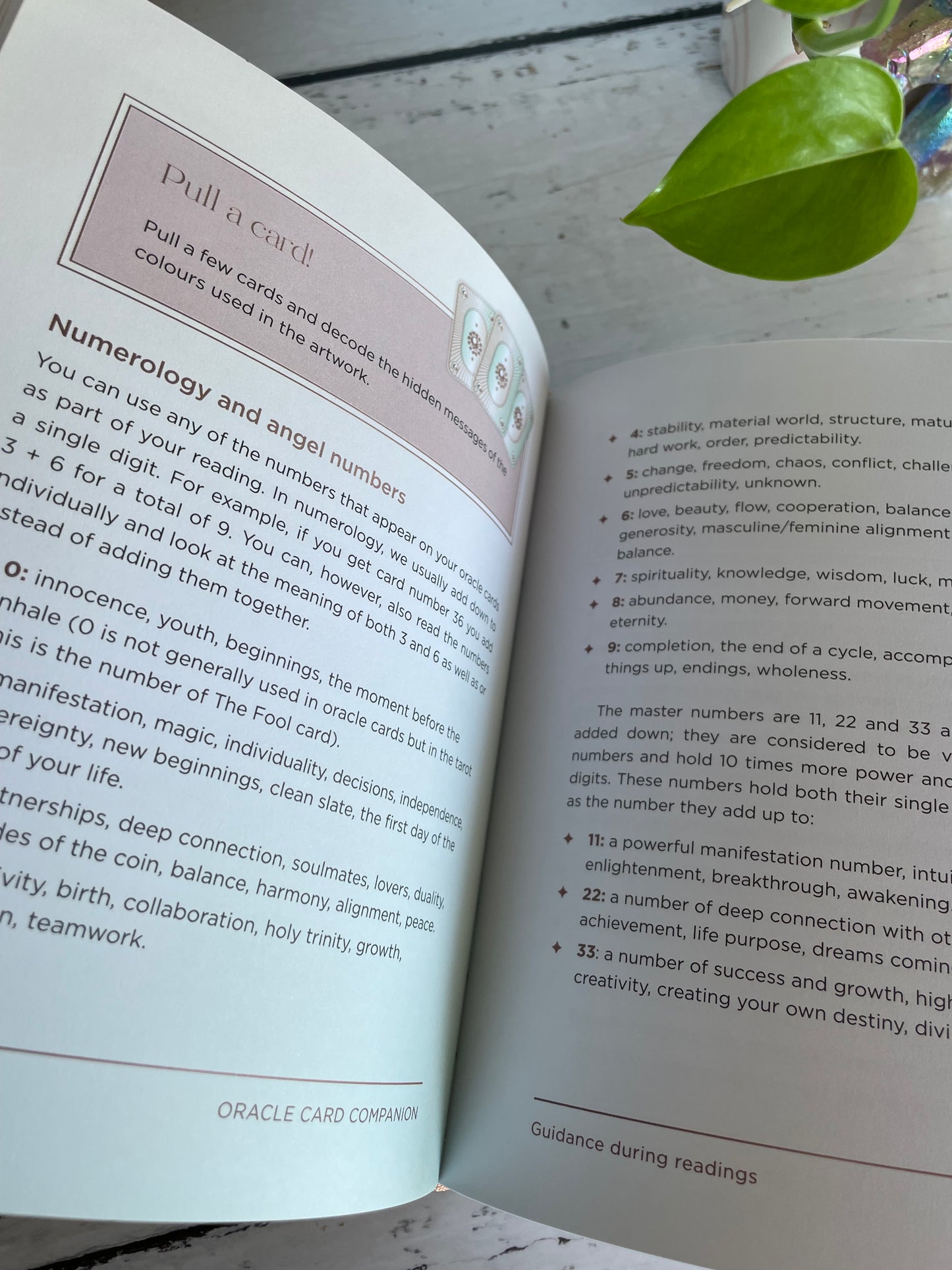 Oracle Card Companion