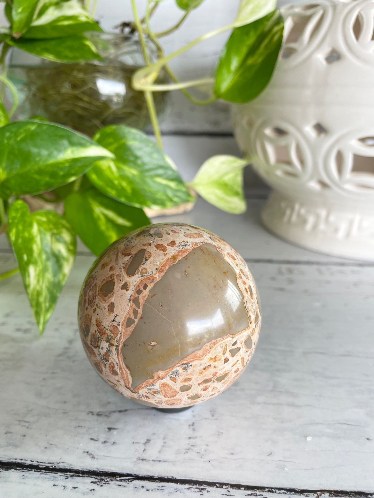 Leopard Skin Jasper Sphere Includes Holder