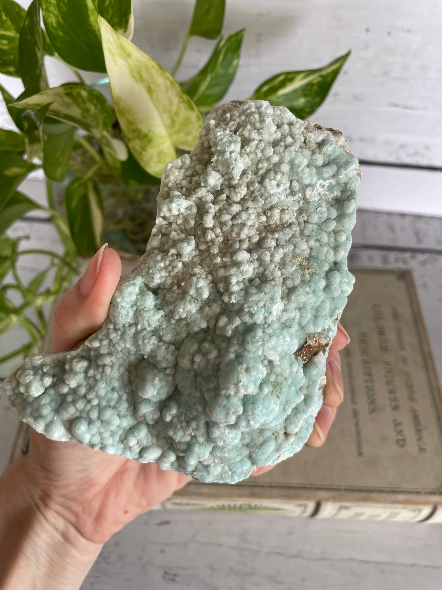 Blue Aragonite