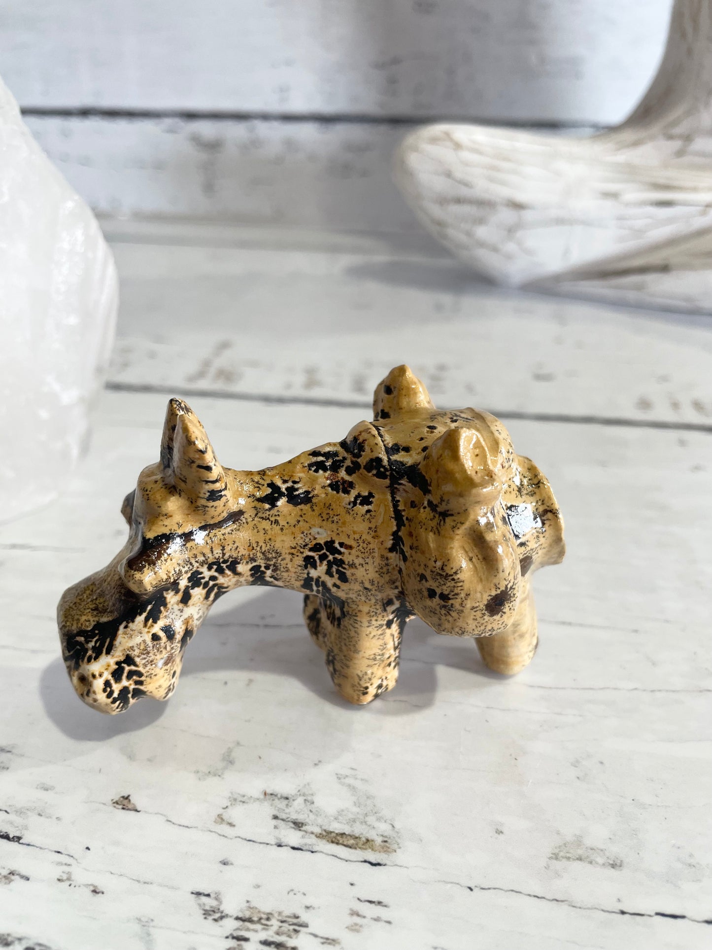 Picture Jasper Donkey ~ 12