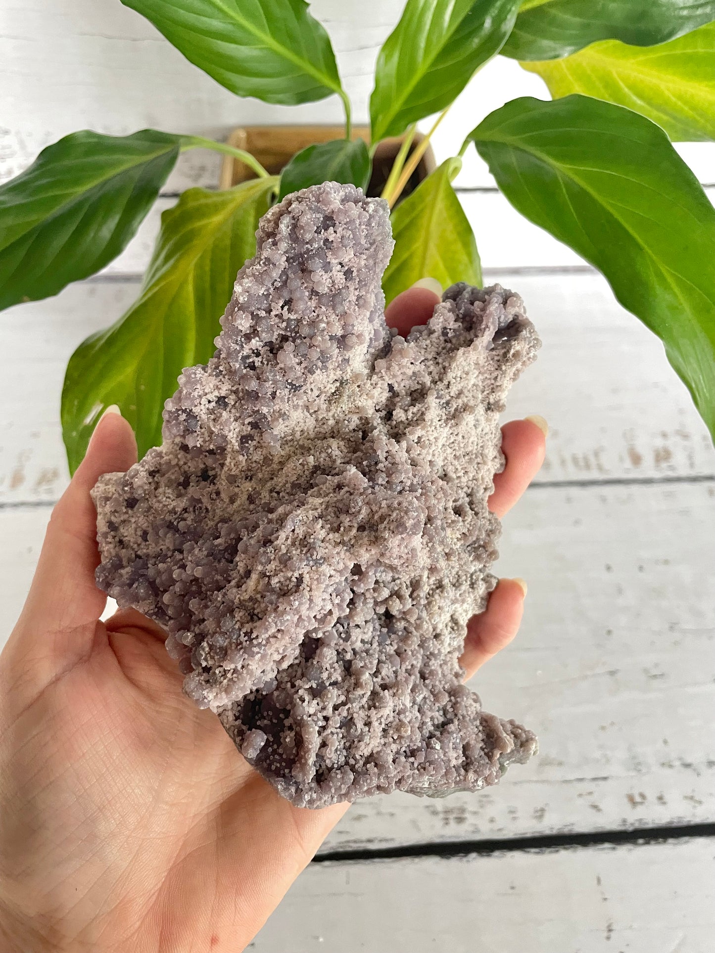 Grape Agate /Botryoidal Purple Chalcedony