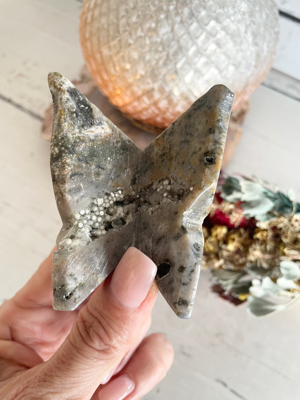 Butterfly ~ Ocean Jasper