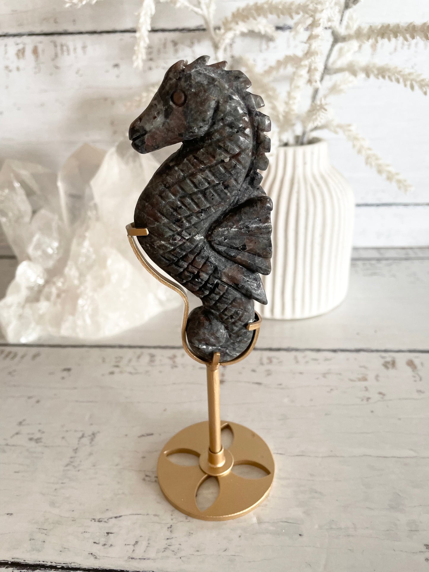 Seahorse ~ Que Sera / Llanite