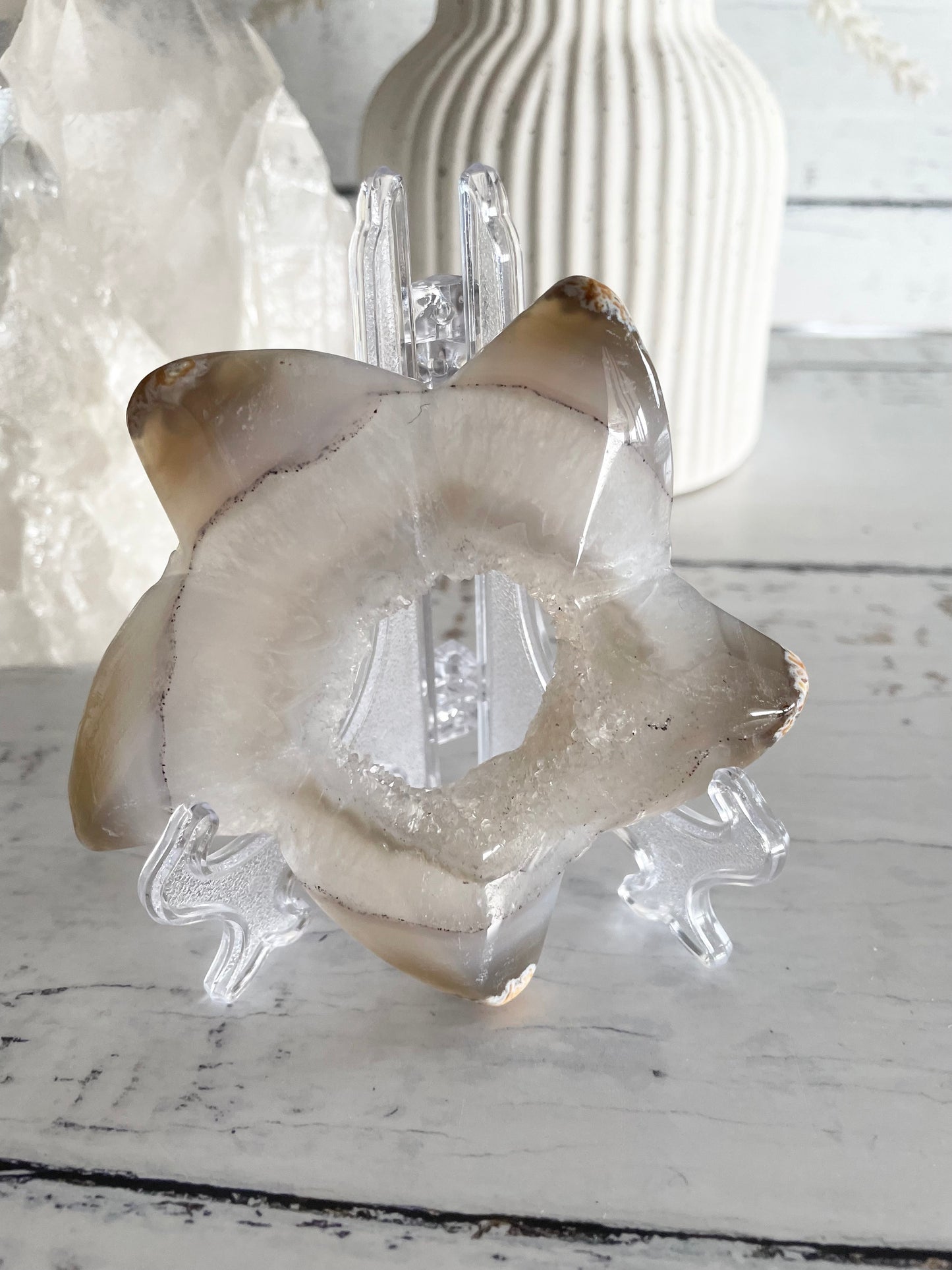 Natural Agate ~ Sea Star