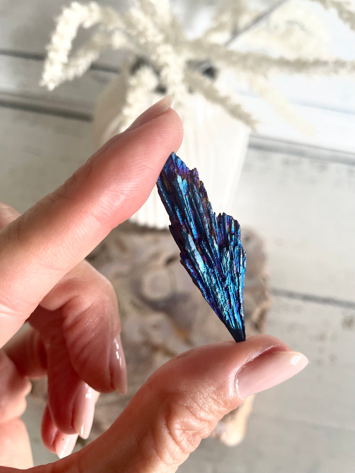 Black Kyanite Titanium Witch Fan/Broom