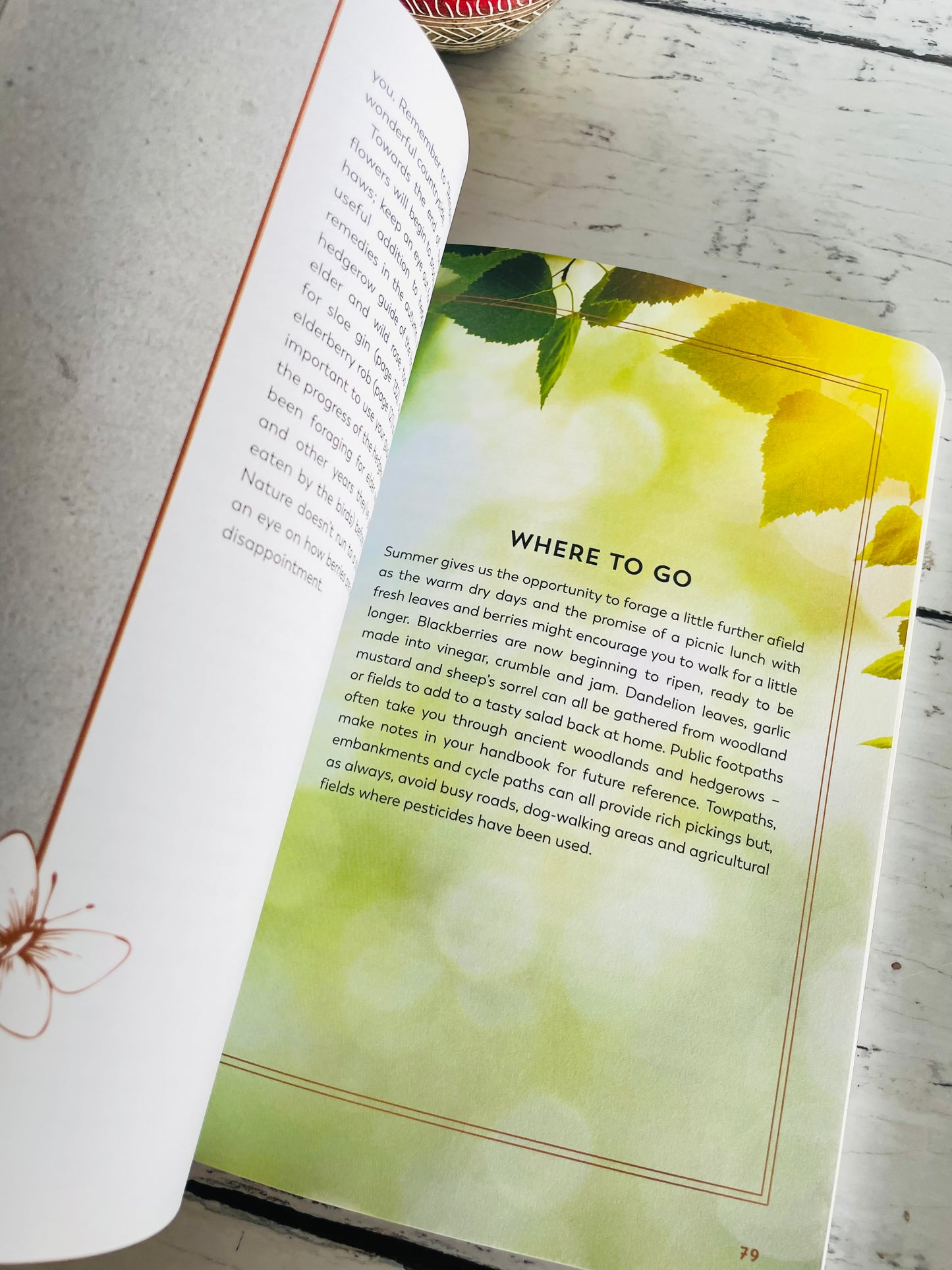 The Hedgerow Apothecary Forager's Handbook