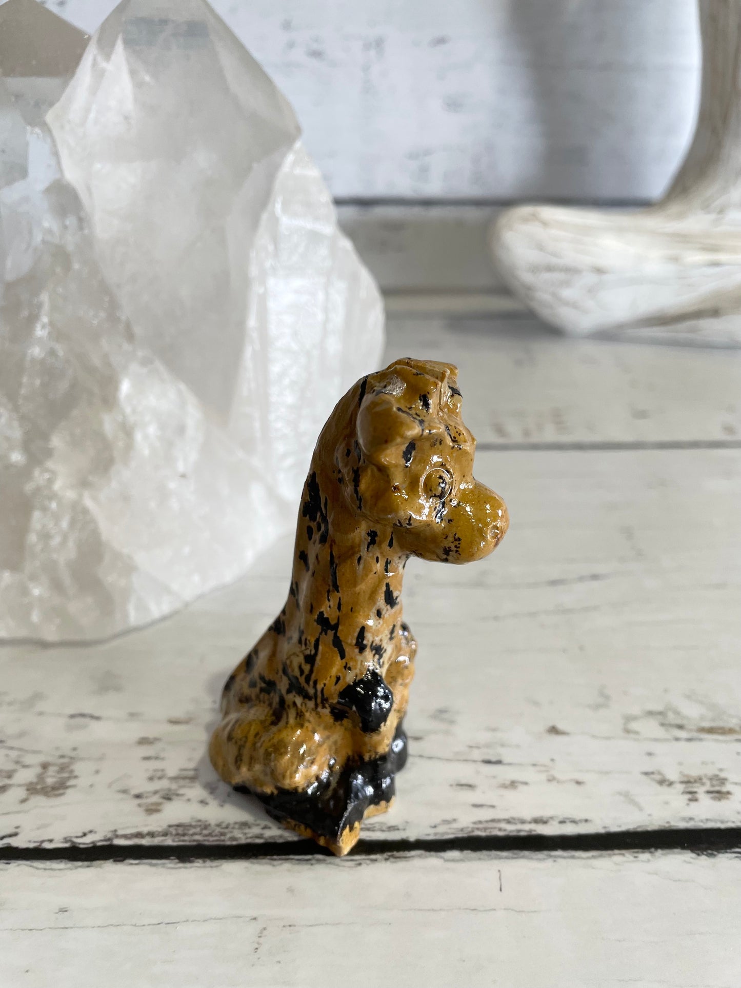 Picture Jasper Giraffe ~ 16