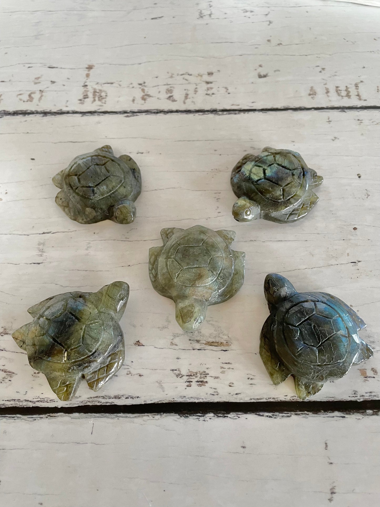 INTUITIVELY CHOSEN ~ Labradorite Turtle