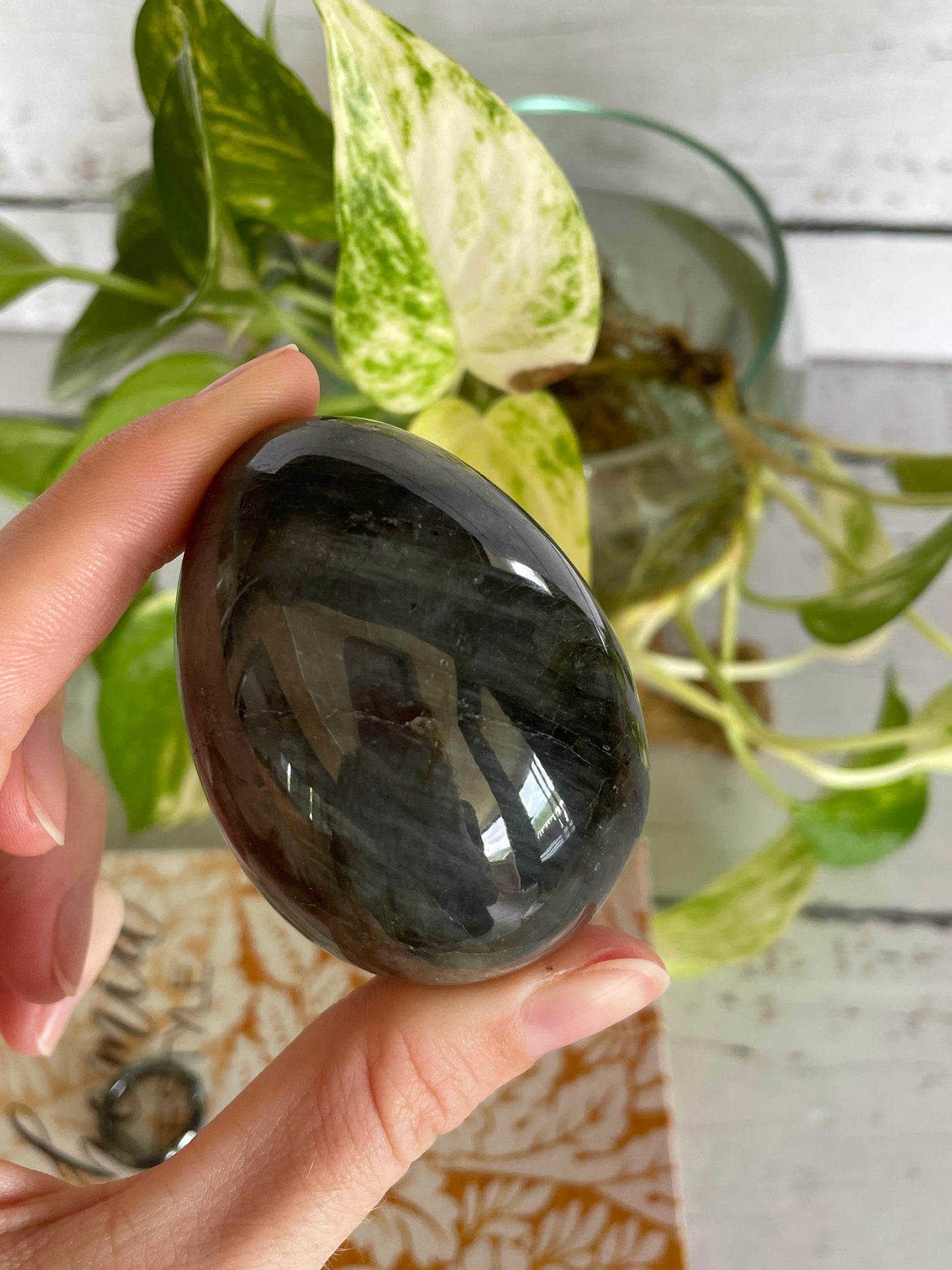 Labradorite Egg with holder