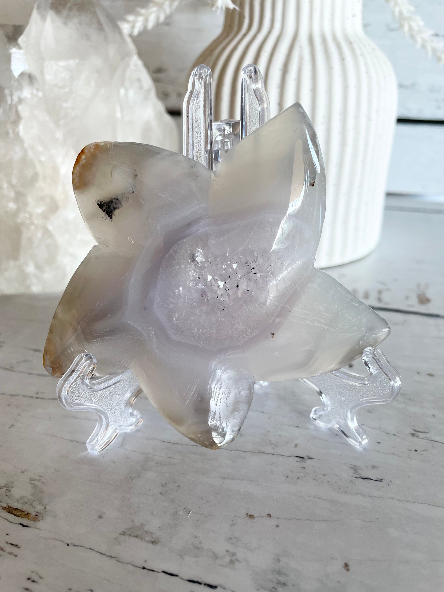 Natural Agate ~ Sea Star
