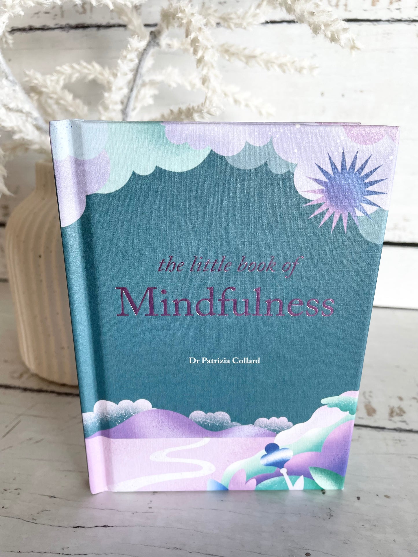The Little Book of Mindfulness
